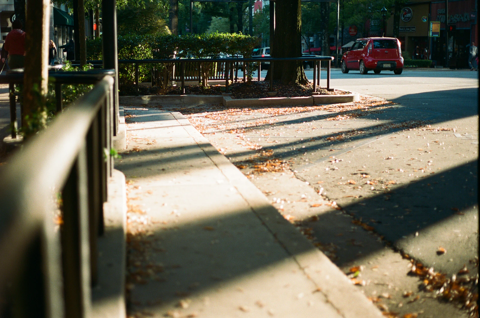 Greenville, South Carolina photo 29 by Emmy Gaddy