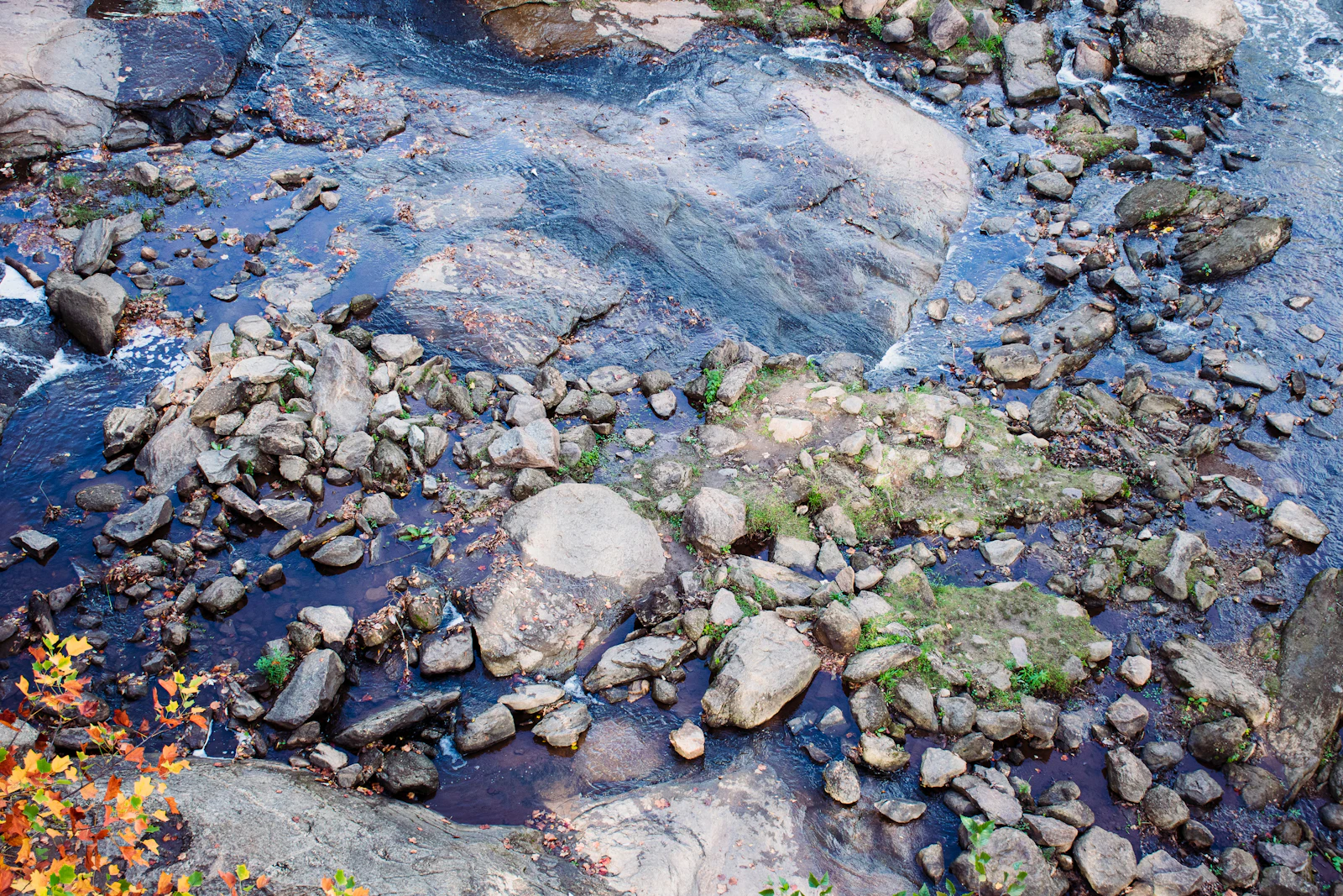 Greenville, South Carolina photo 30 by Casey Lovegrove