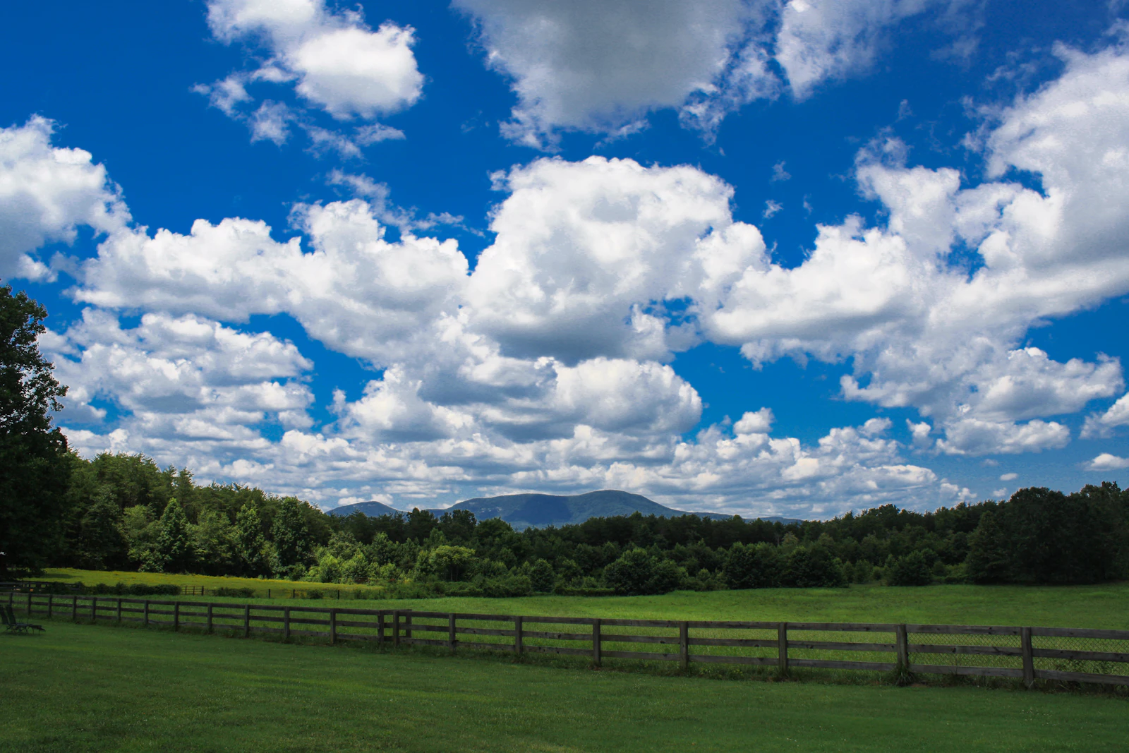 Greenville, South Carolina photo 16 by Jonathan Hanna