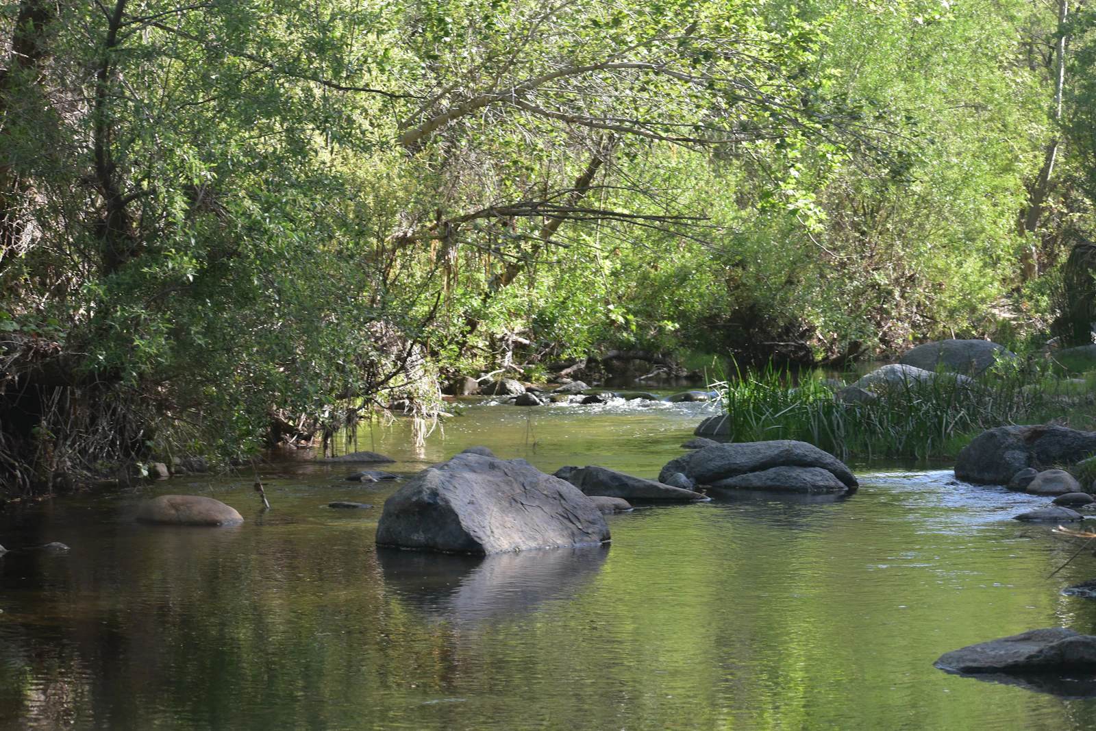 Greenville, South Carolina photo 25 by hayleigh b