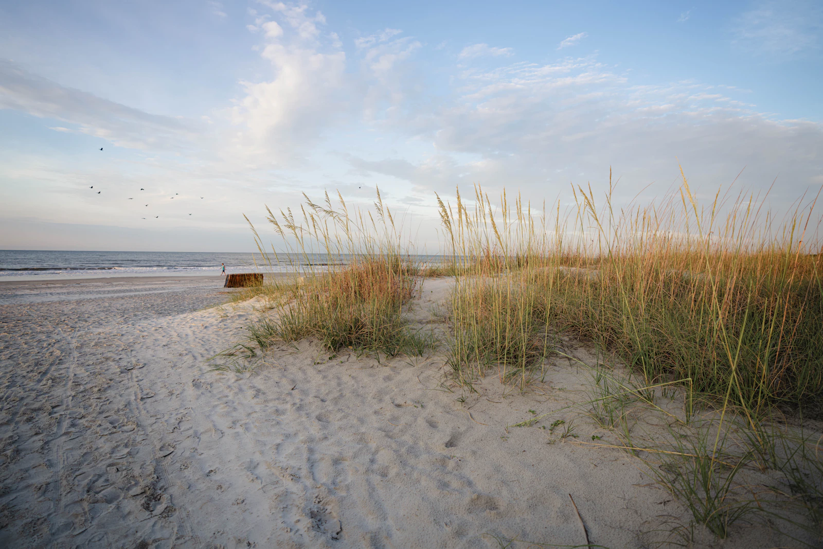 Hilton Head Island, South Carolina photo 3 by Justin Fisher