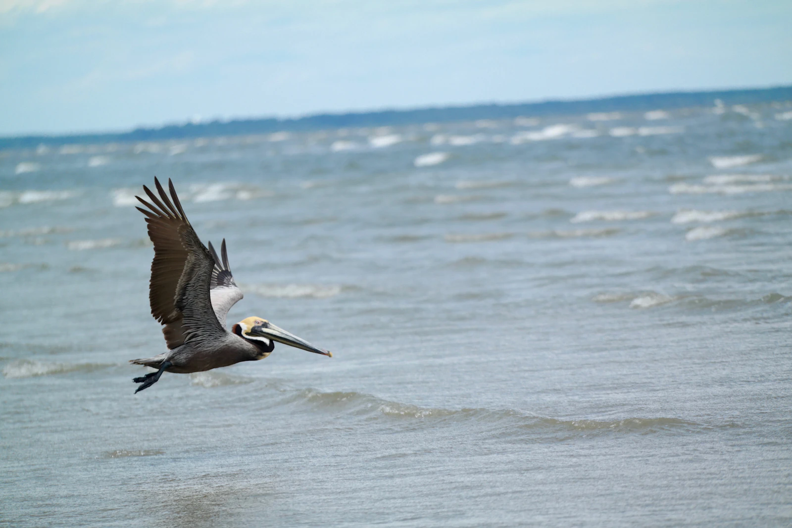 Hilton Head Island, South Carolina photo 28 by Matt Briney