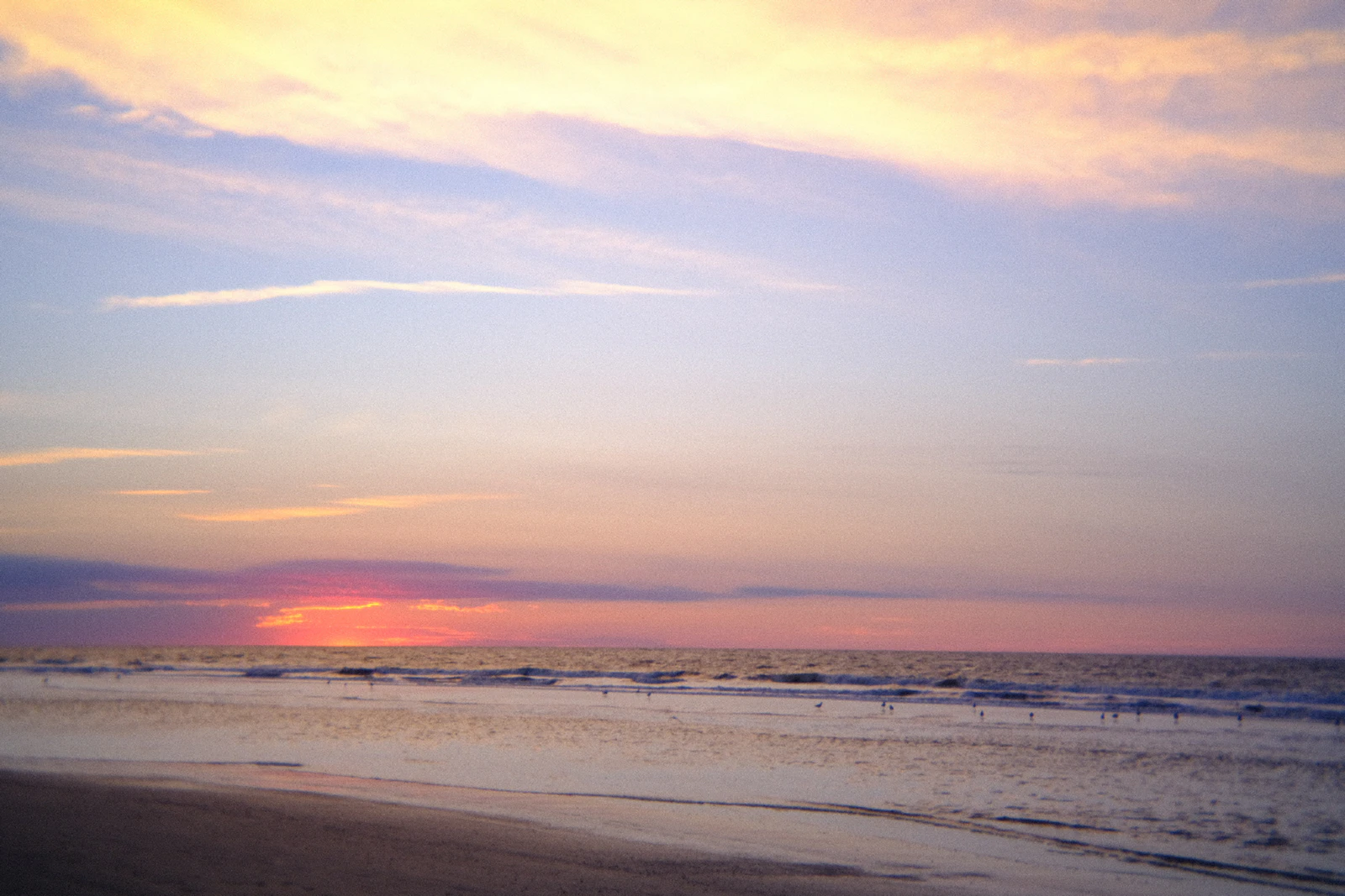 Hilton Head Island, South Carolina photo 20 by Emmy Gaddy