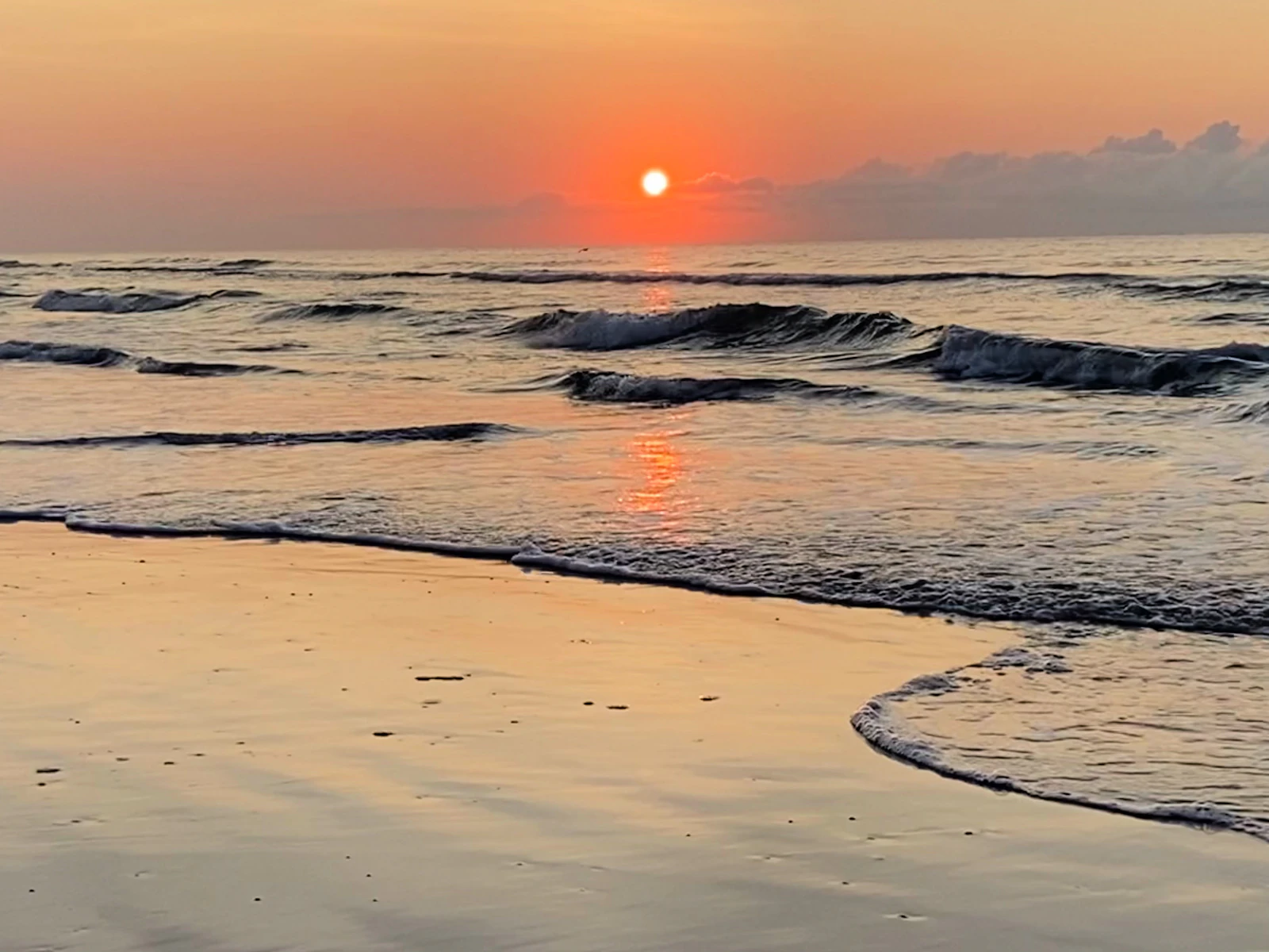 Myrtle Beach, South Carolina photo 30 by Ginger Jordan