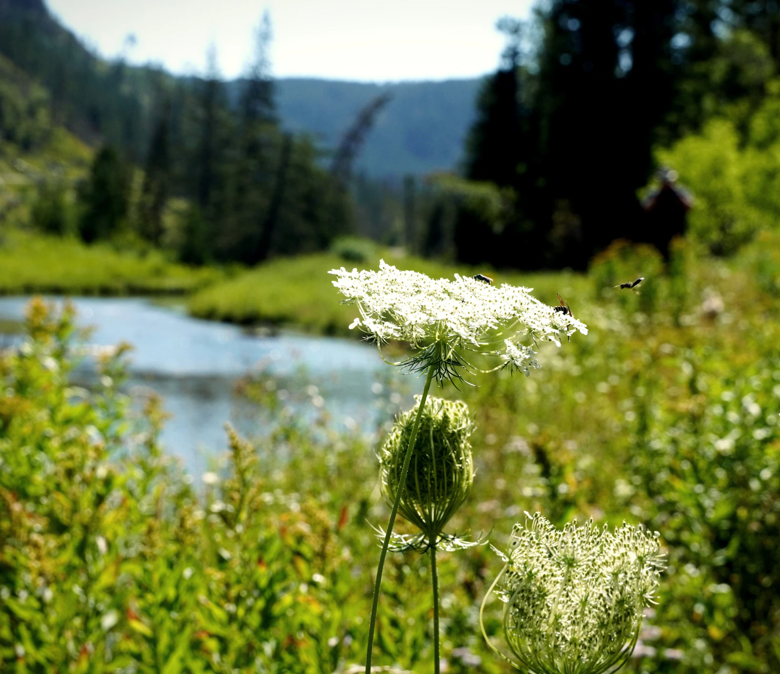Deadwood, South Dakota photo 17 by Rach Pradhan