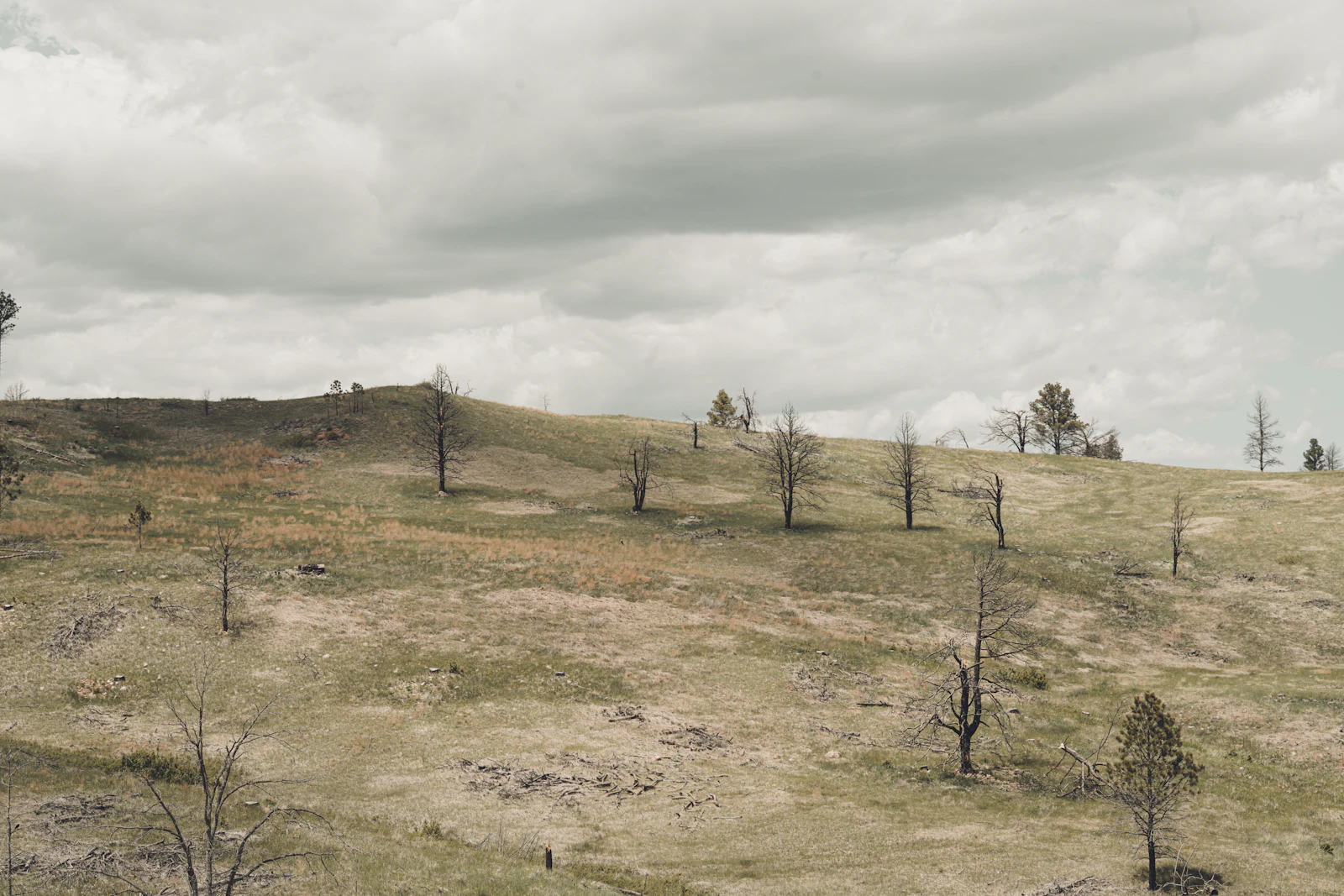 Deadwood, South Dakota photo 19 by Laura Nyhuis