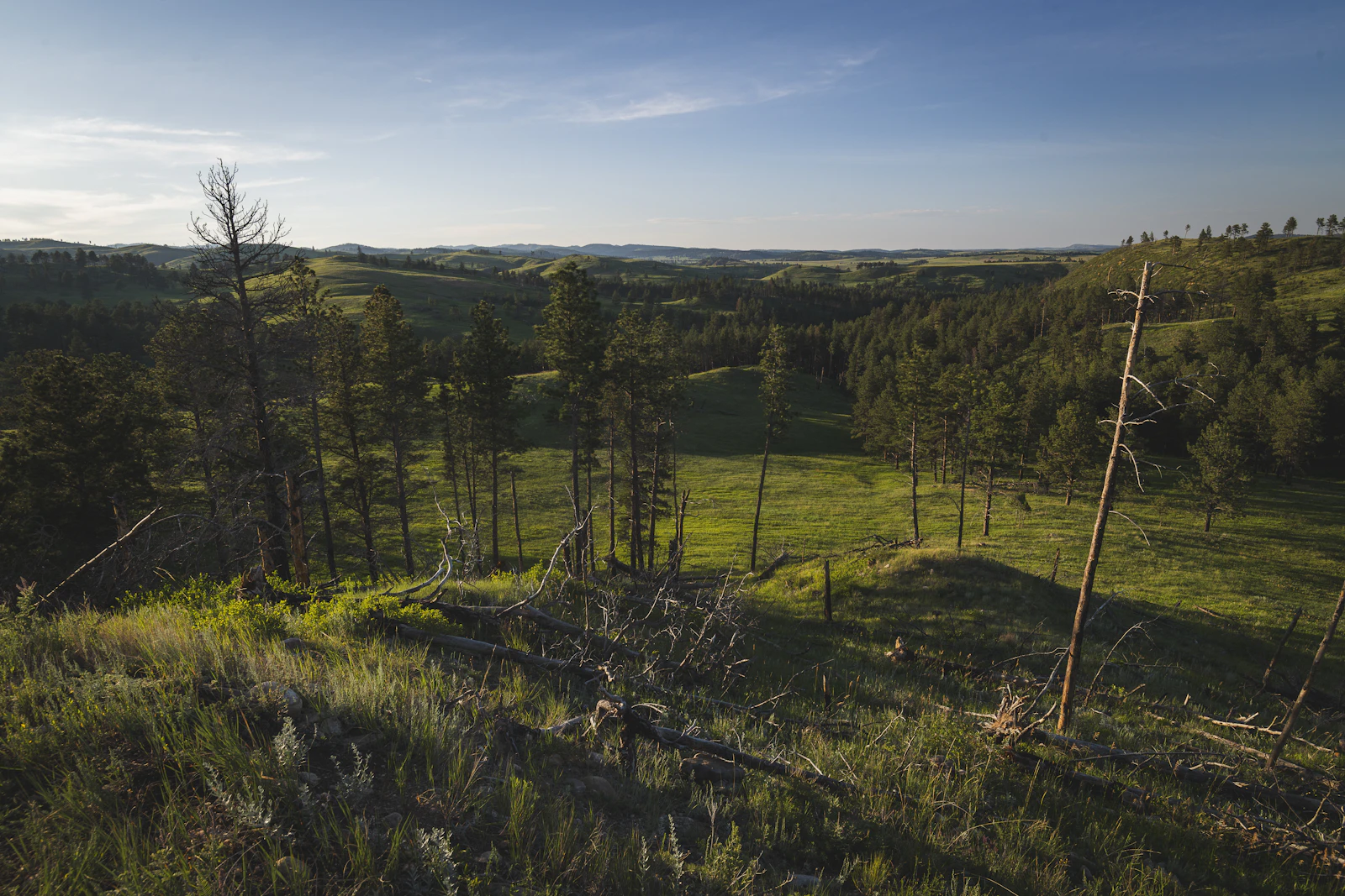Deadwood, South Dakota photo 18 by Jon Sailer