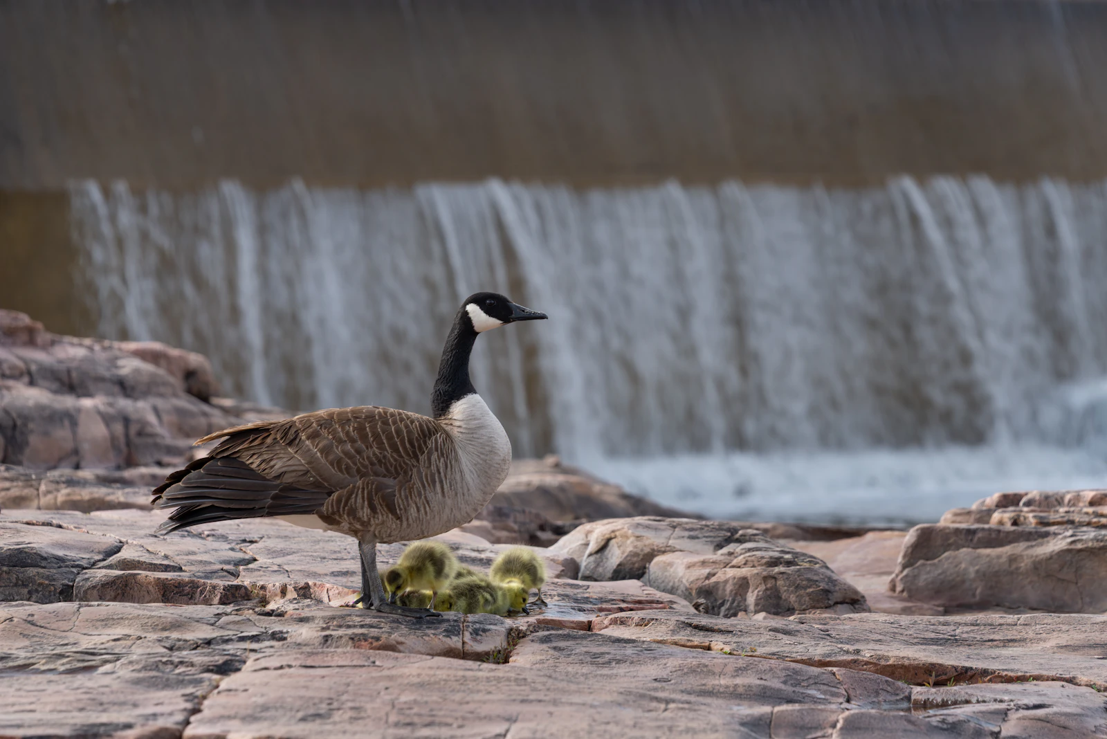 Sioux Falls, South Dakota photo 16 by Jesse Wilkens