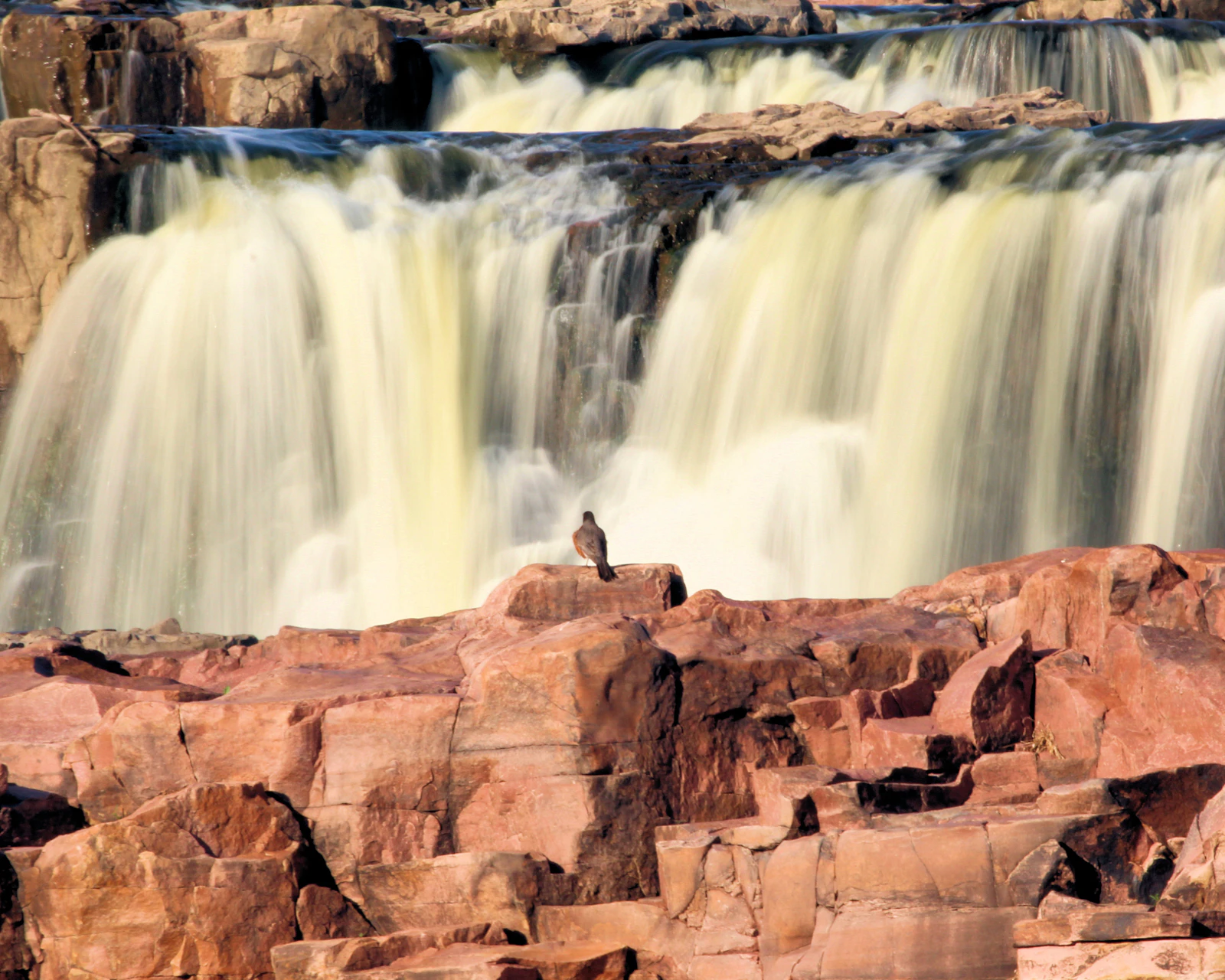 Sioux Falls, South Dakota photo 12 by Timothy Brown