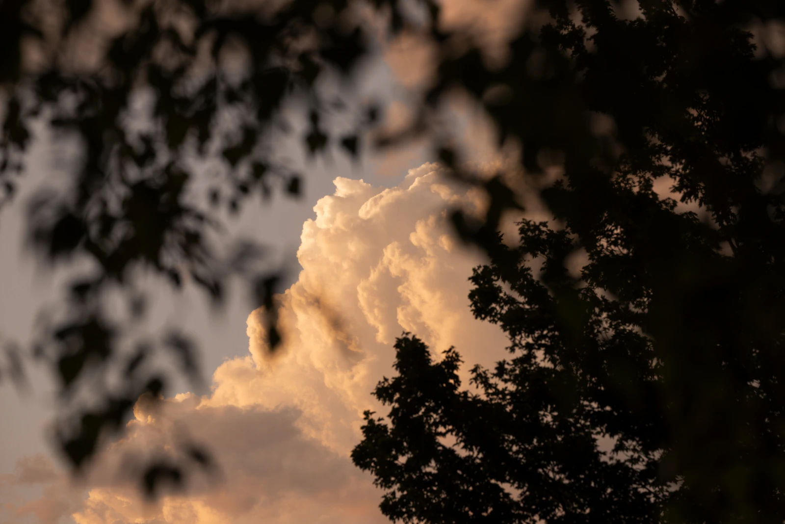 Sioux Falls, South Dakota photo 21 by Jesse Wilkens