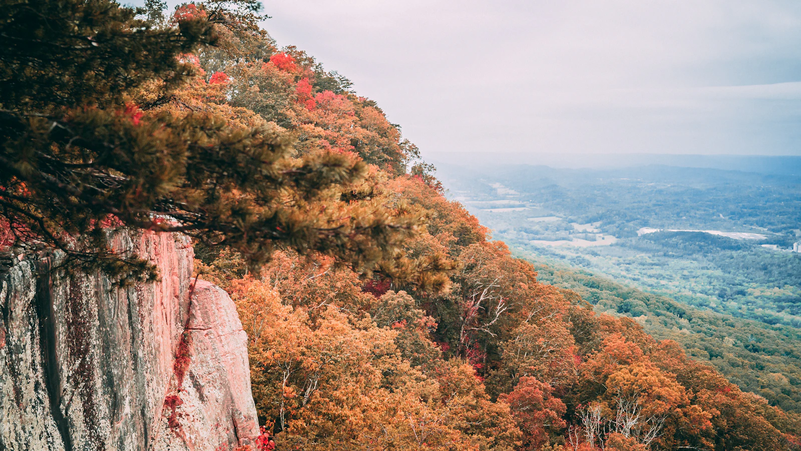 Chattanooga, Tennessee photo 4 by David Sager
