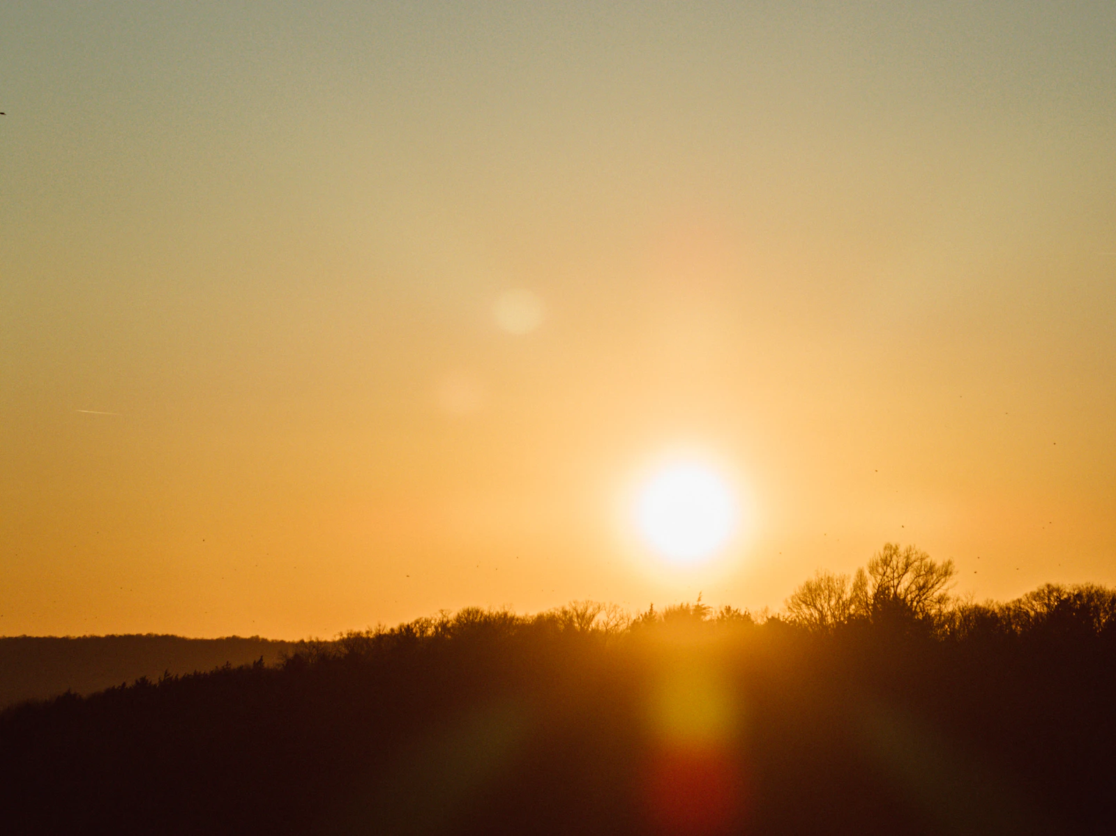 Franklin, Tennessee photo 8 by Josh Withers