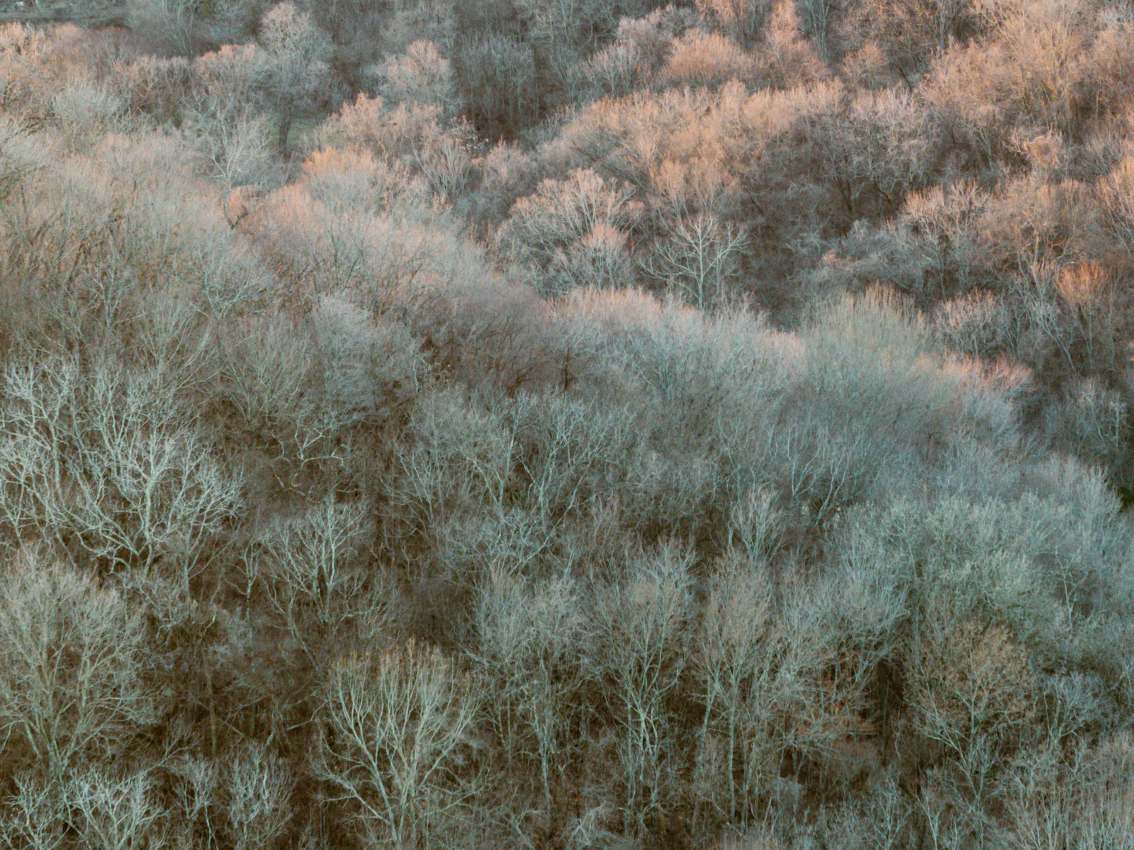Franklin, Tennessee photo 6 by Josh Withers