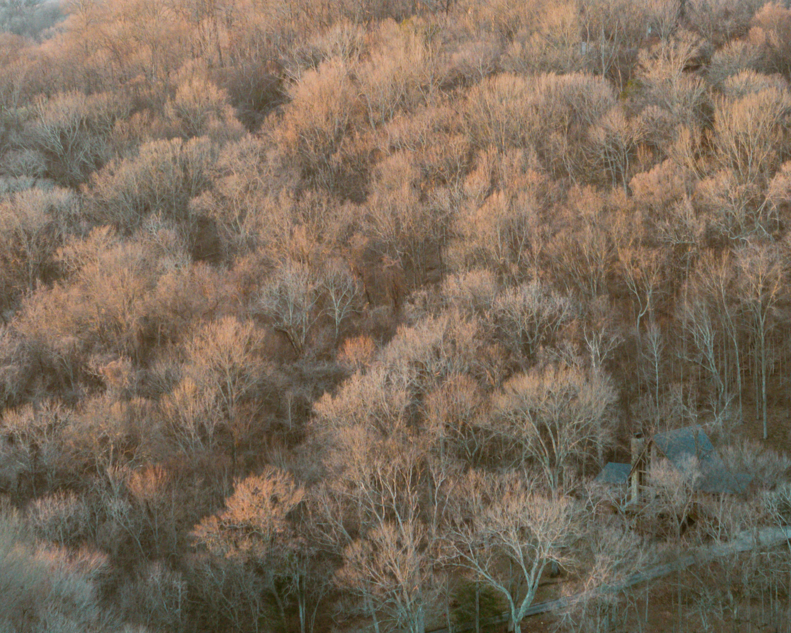 Franklin, Tennessee photo 7 by Josh Withers