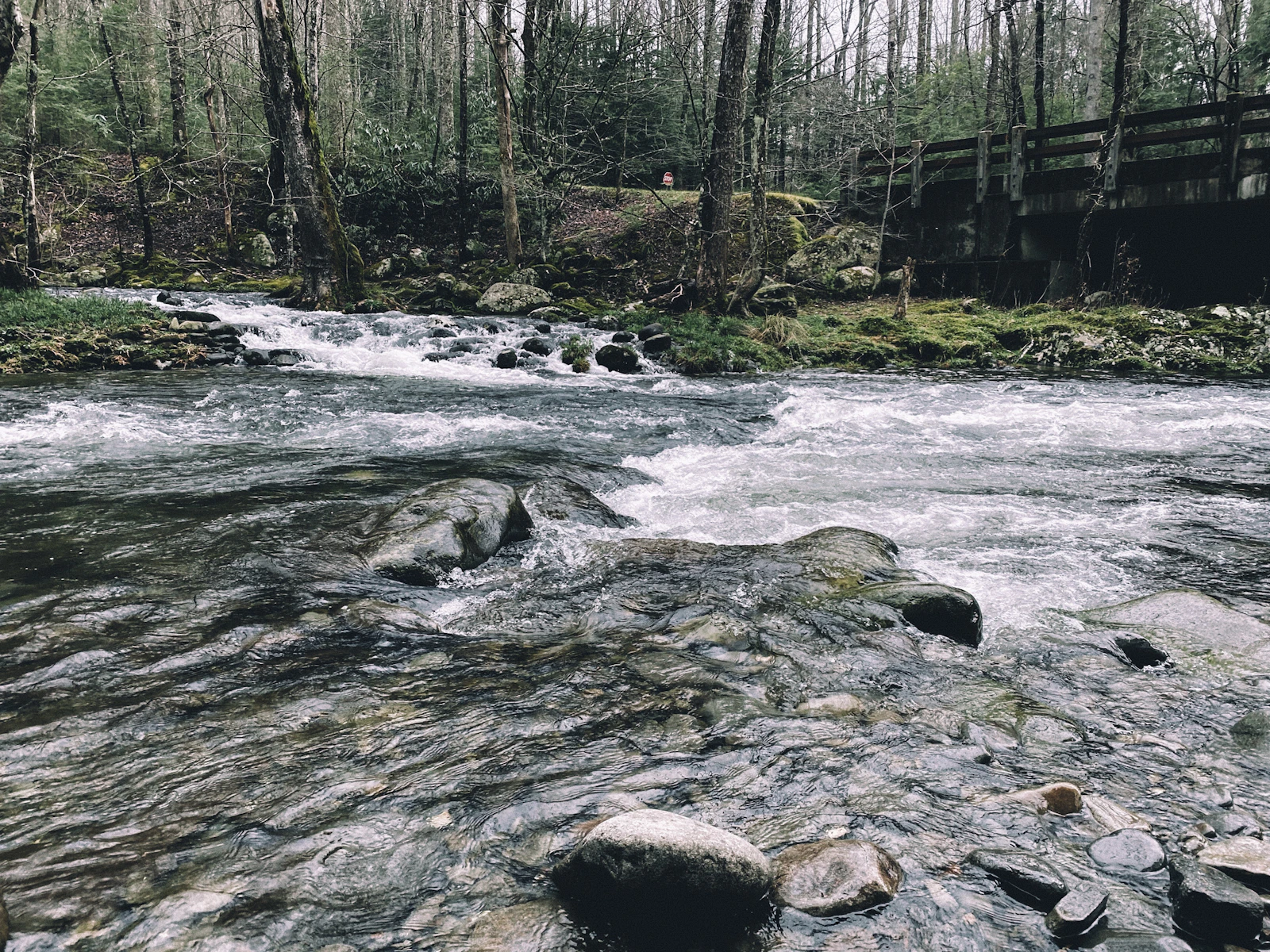 Gatlinburg, Tennessee photo 23 by Sean C Davis