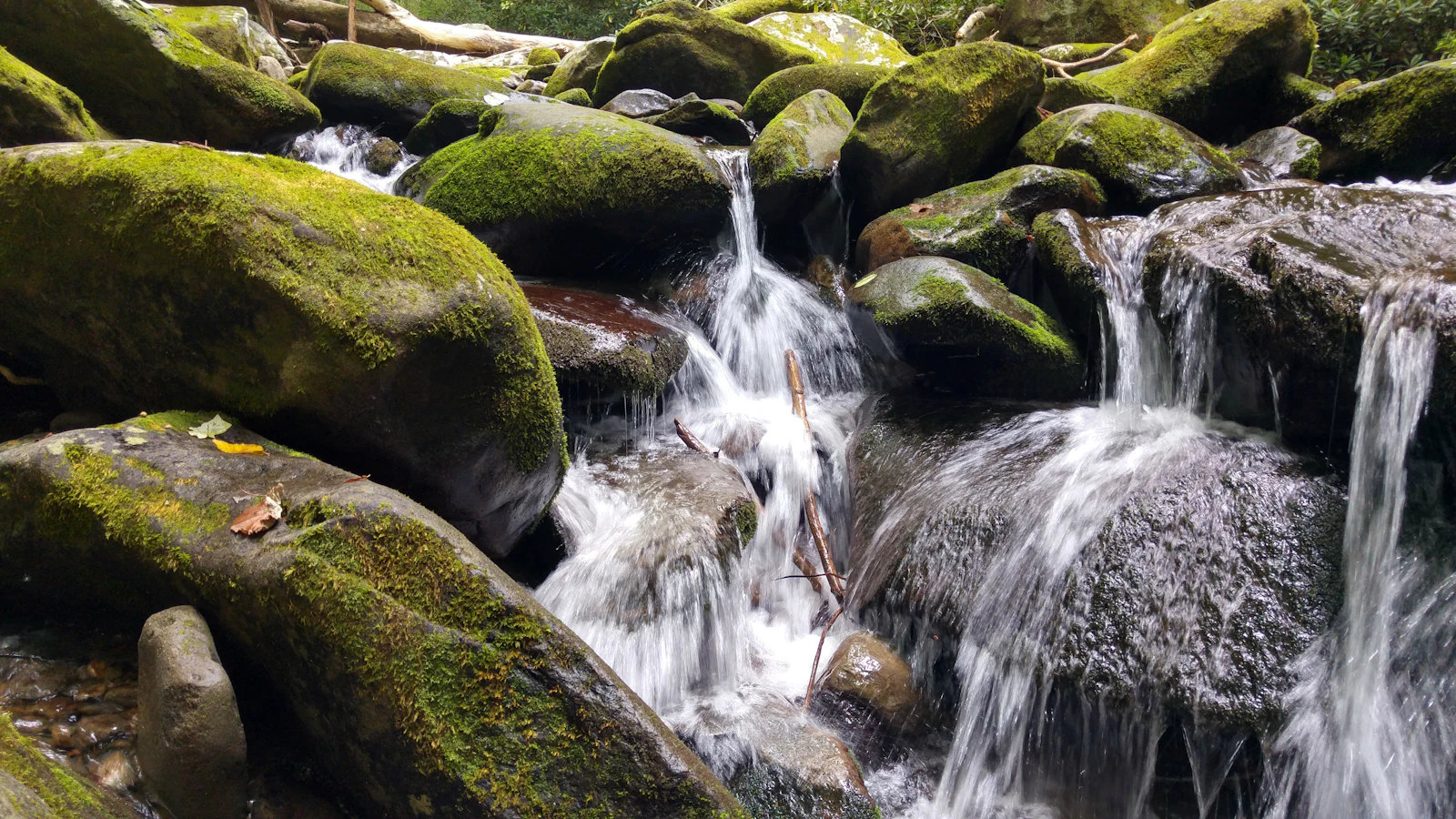 Gatlinburg, Tennessee photo 9 by Anvesh Uppunuthula