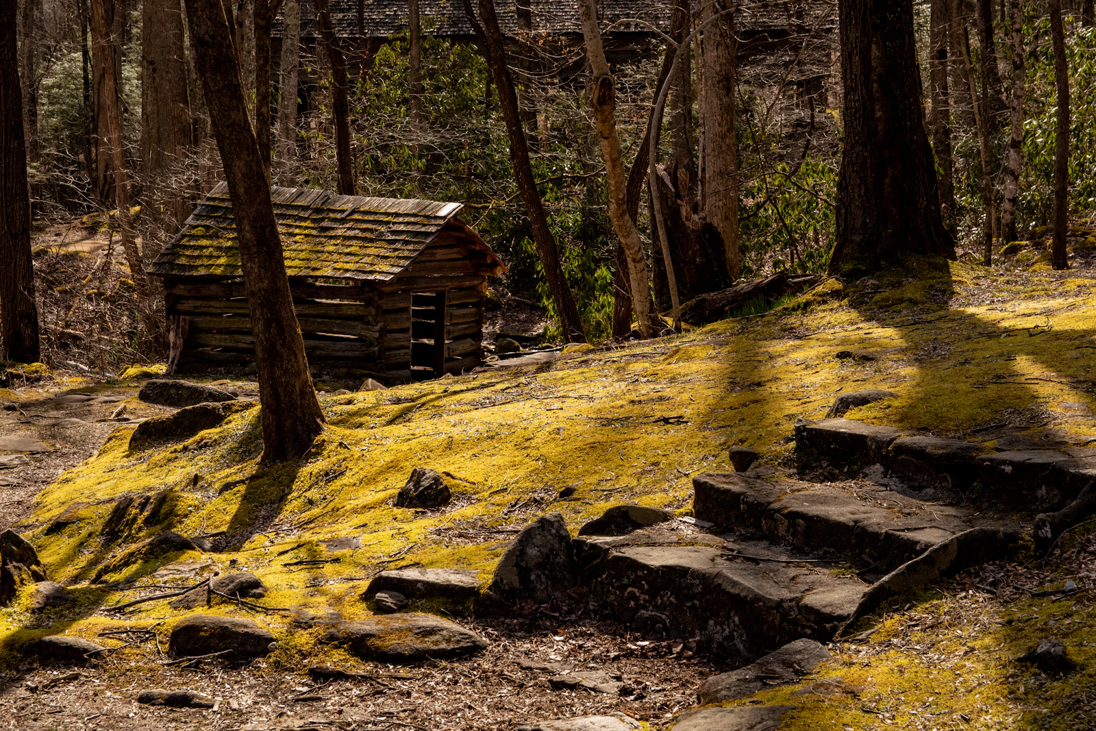 Gatlinburg, Tennessee photo 7 by Joshua Bedford