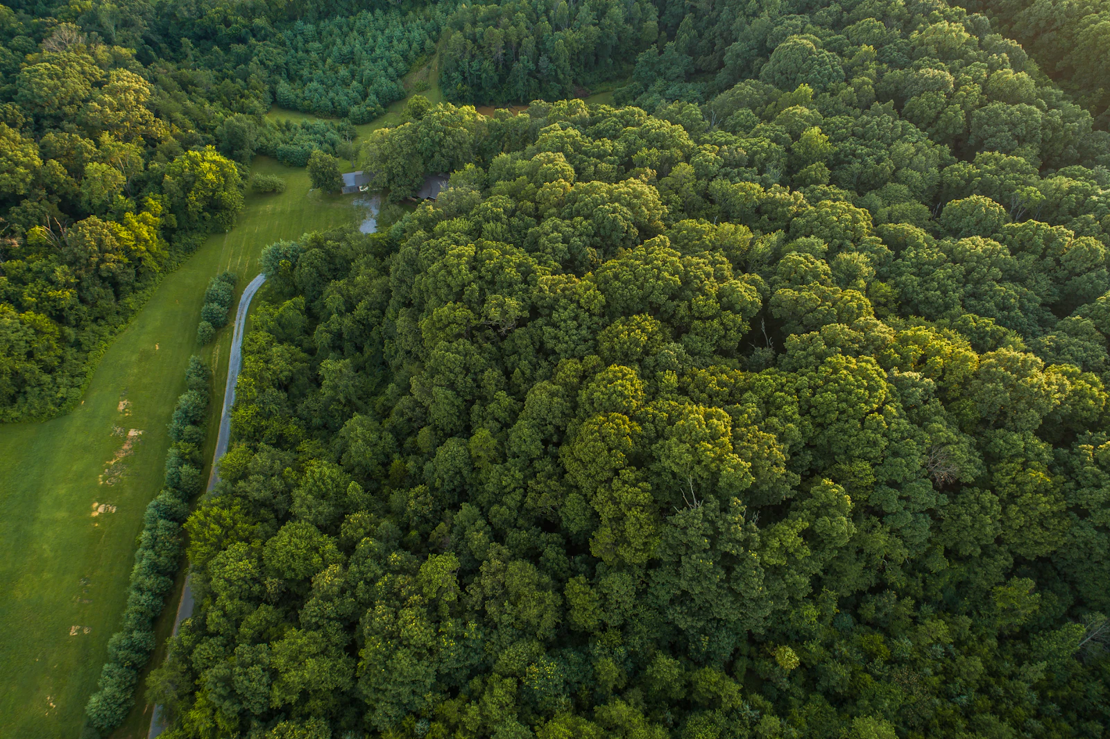 Knoxville, Tennessee photo 29 by Nathan Anderson