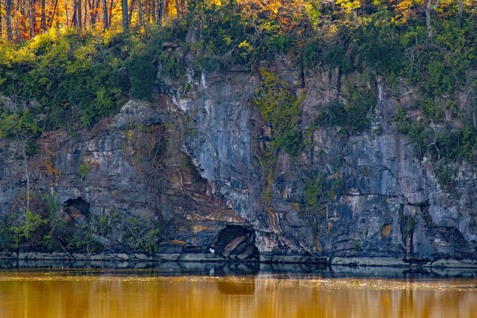 Knoxville, Tennessee photo 9 by Robin Canfield