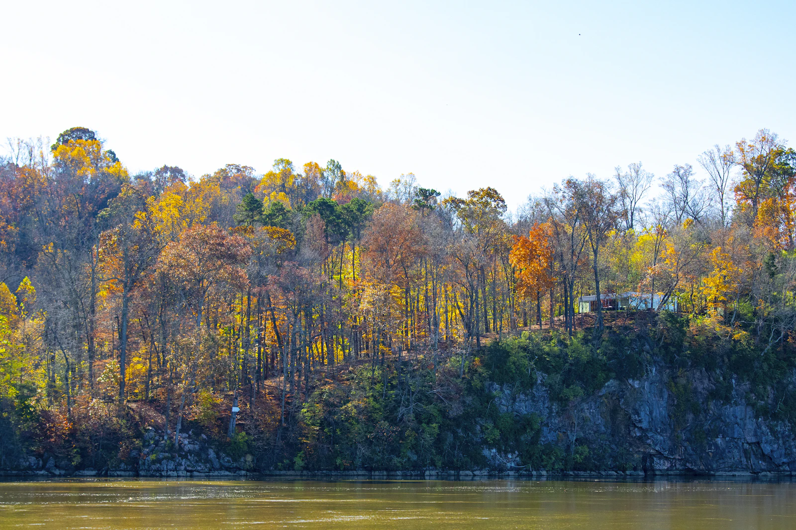 Knoxville, Tennessee photo 5 by Robin Canfield