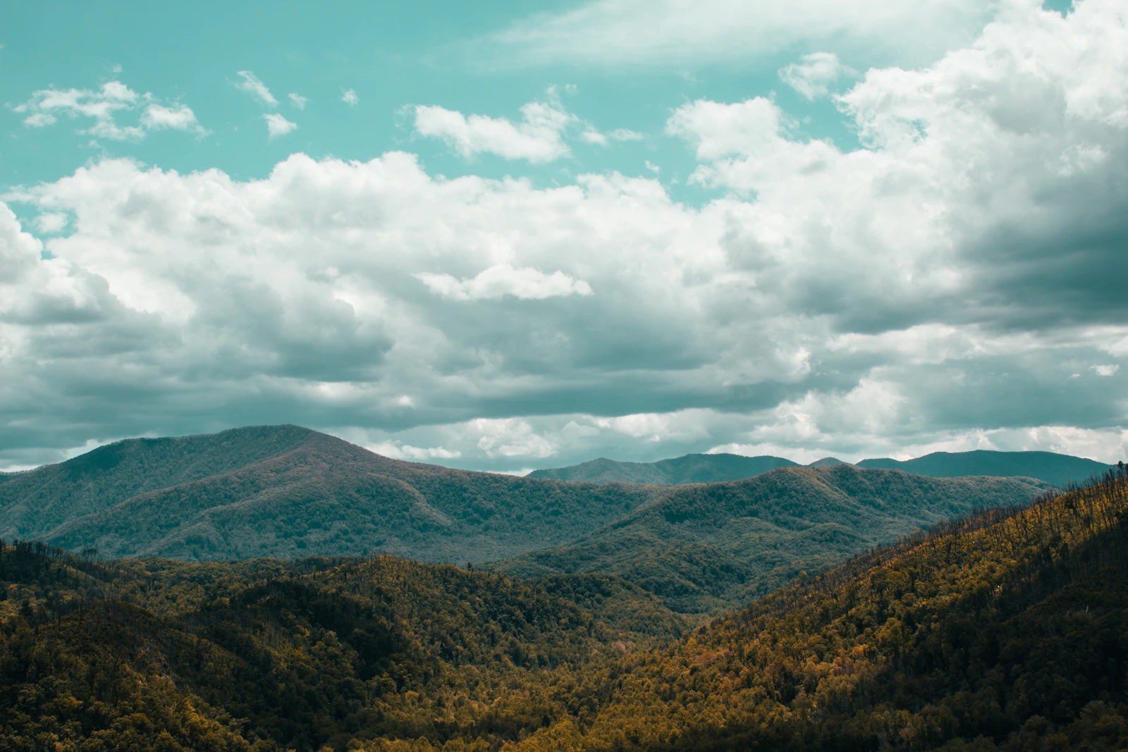 Pigeon Forge, Tennessee photo 20 by Milly Montoya
