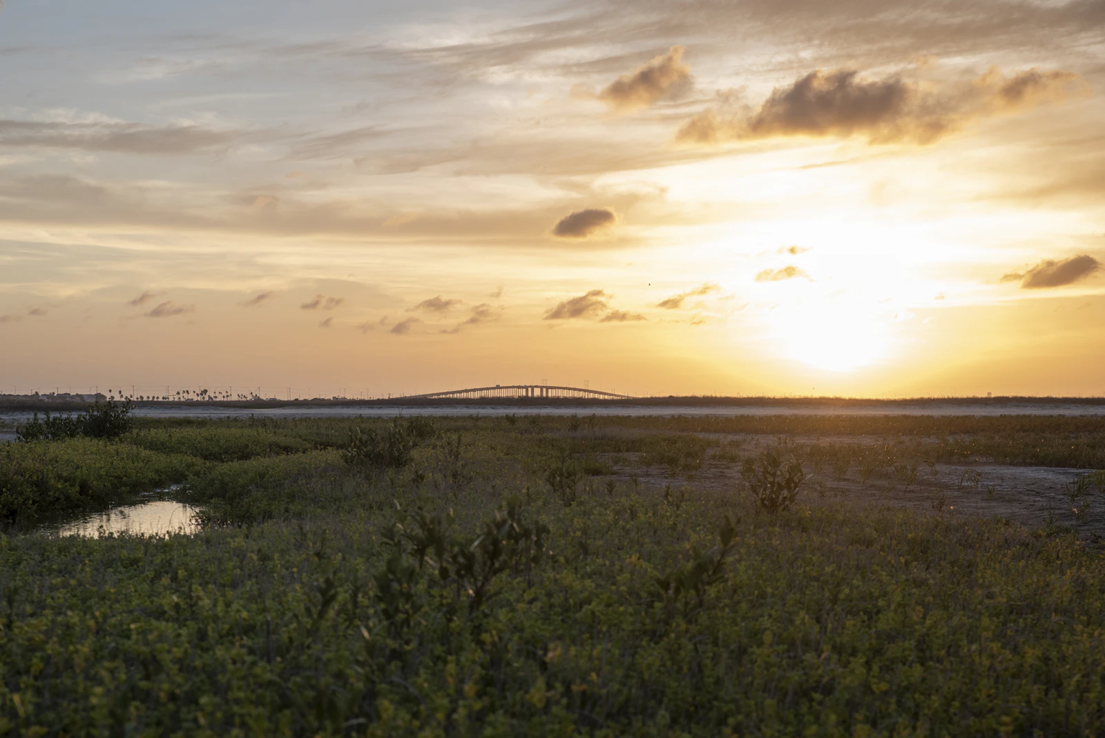 Corpus Christi, Texas photo 7 by Trac Vu