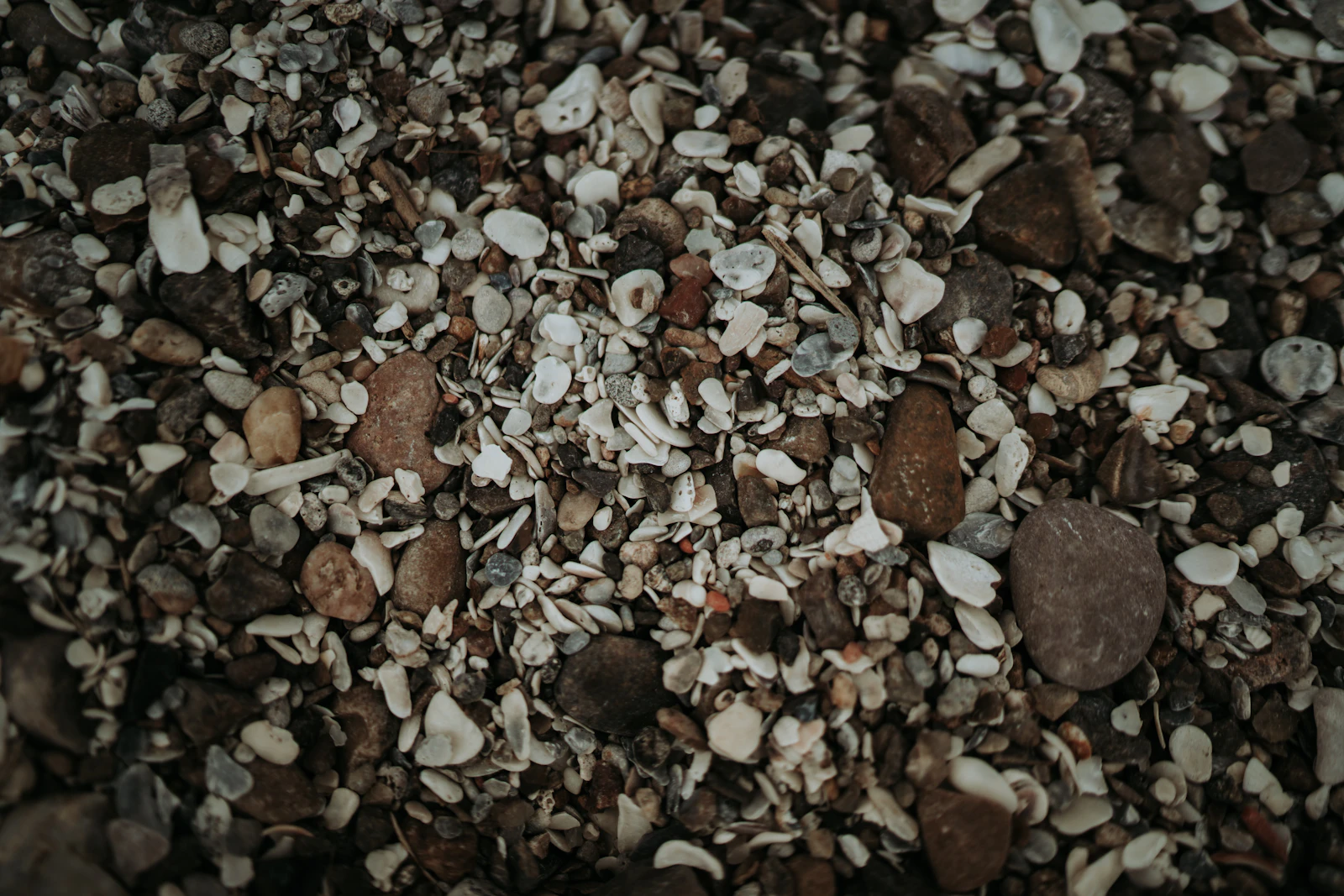 Corpus Christi, Texas photo 15 by Brittani Burns