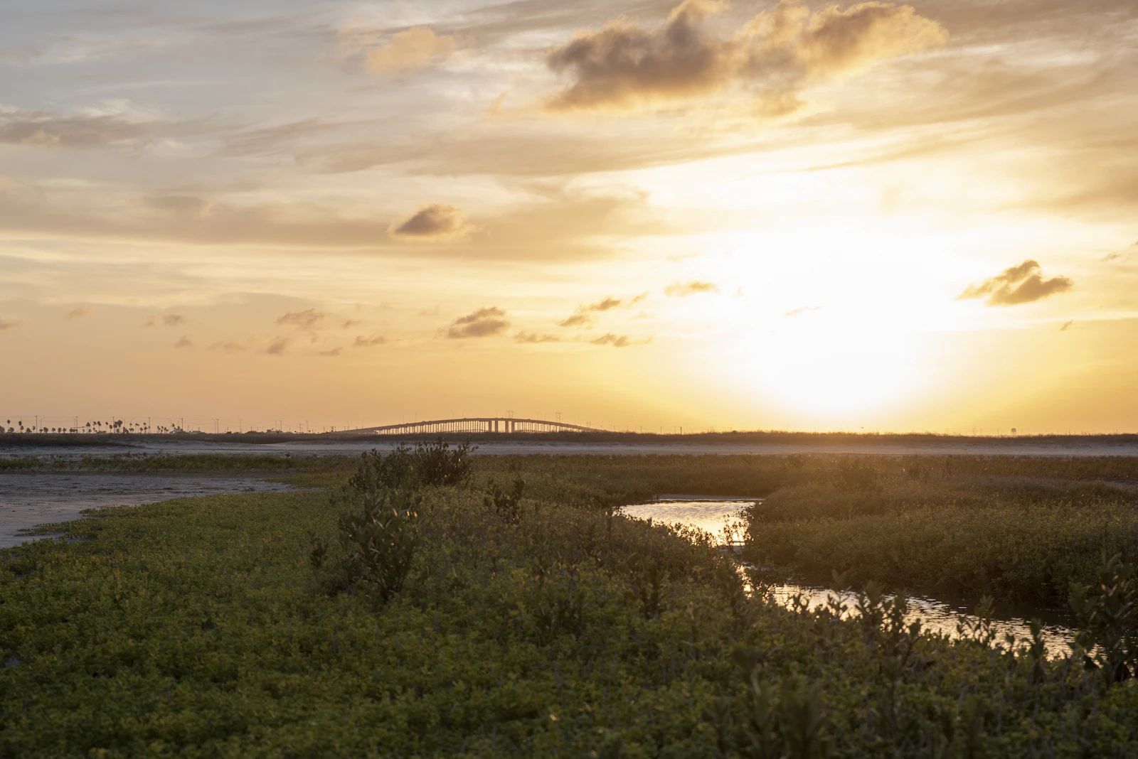 Corpus Christi, Texas photo 5 by Trac Vu