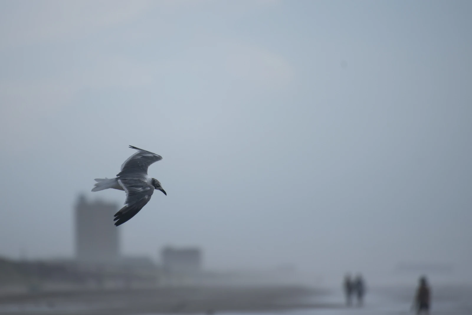 Corpus Christi, Texas photo 8 by Trac Vu