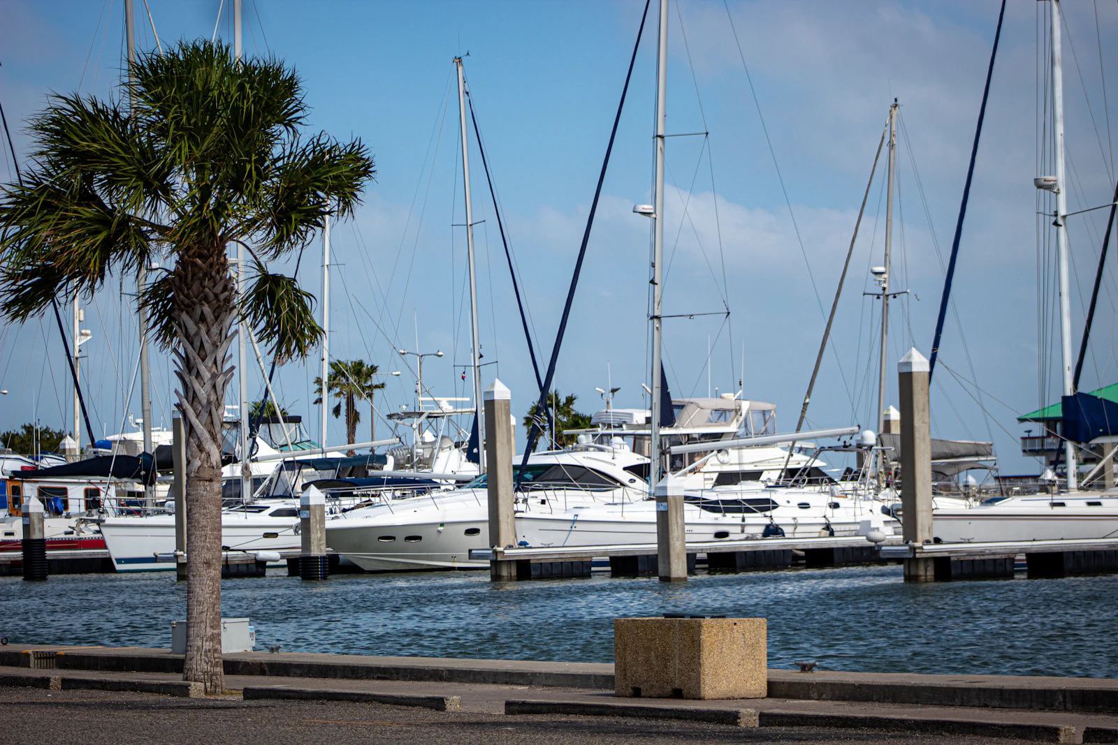Corpus Christi, Texas photo 28 by Joshua J. Cotten
