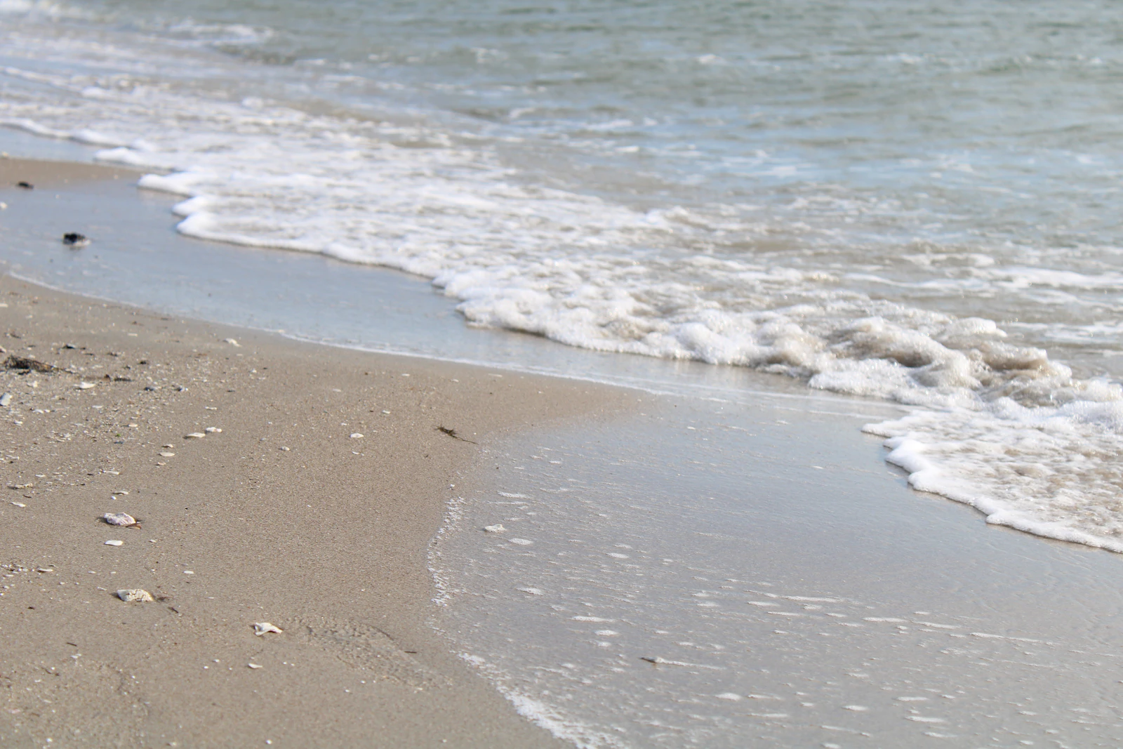 Corpus Christi, Texas photo 11 by Marie Martin