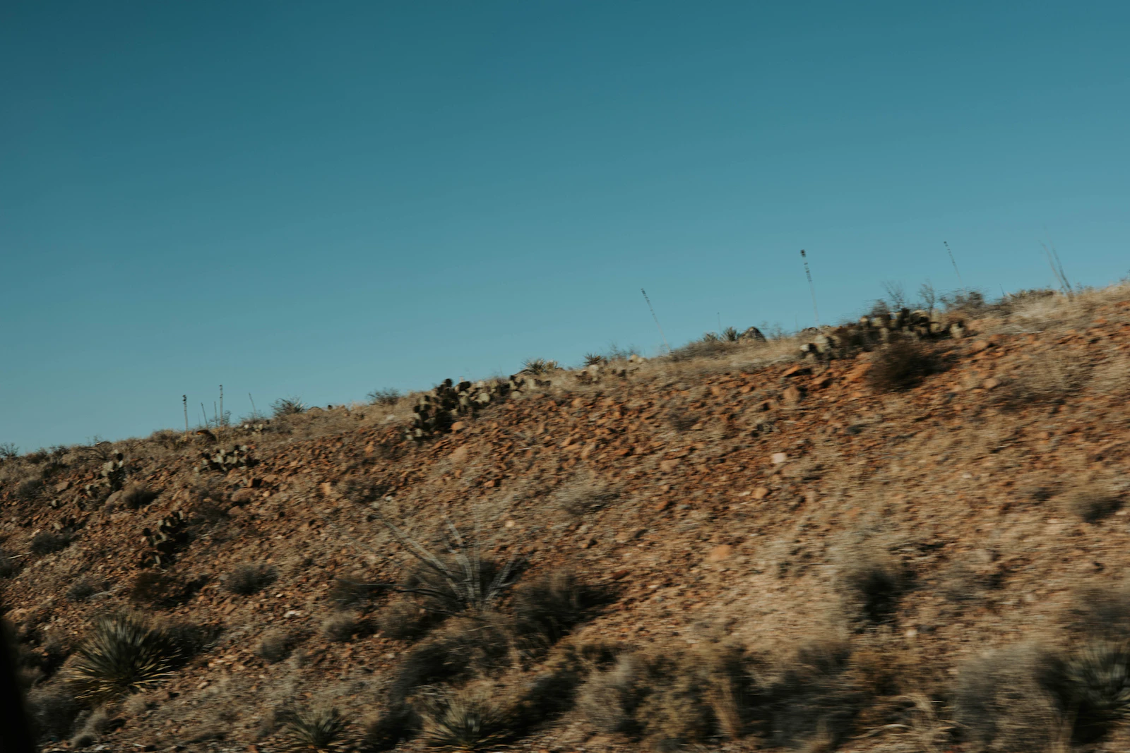 El Paso, Texas photo 28 by Rebeca Alvidrez