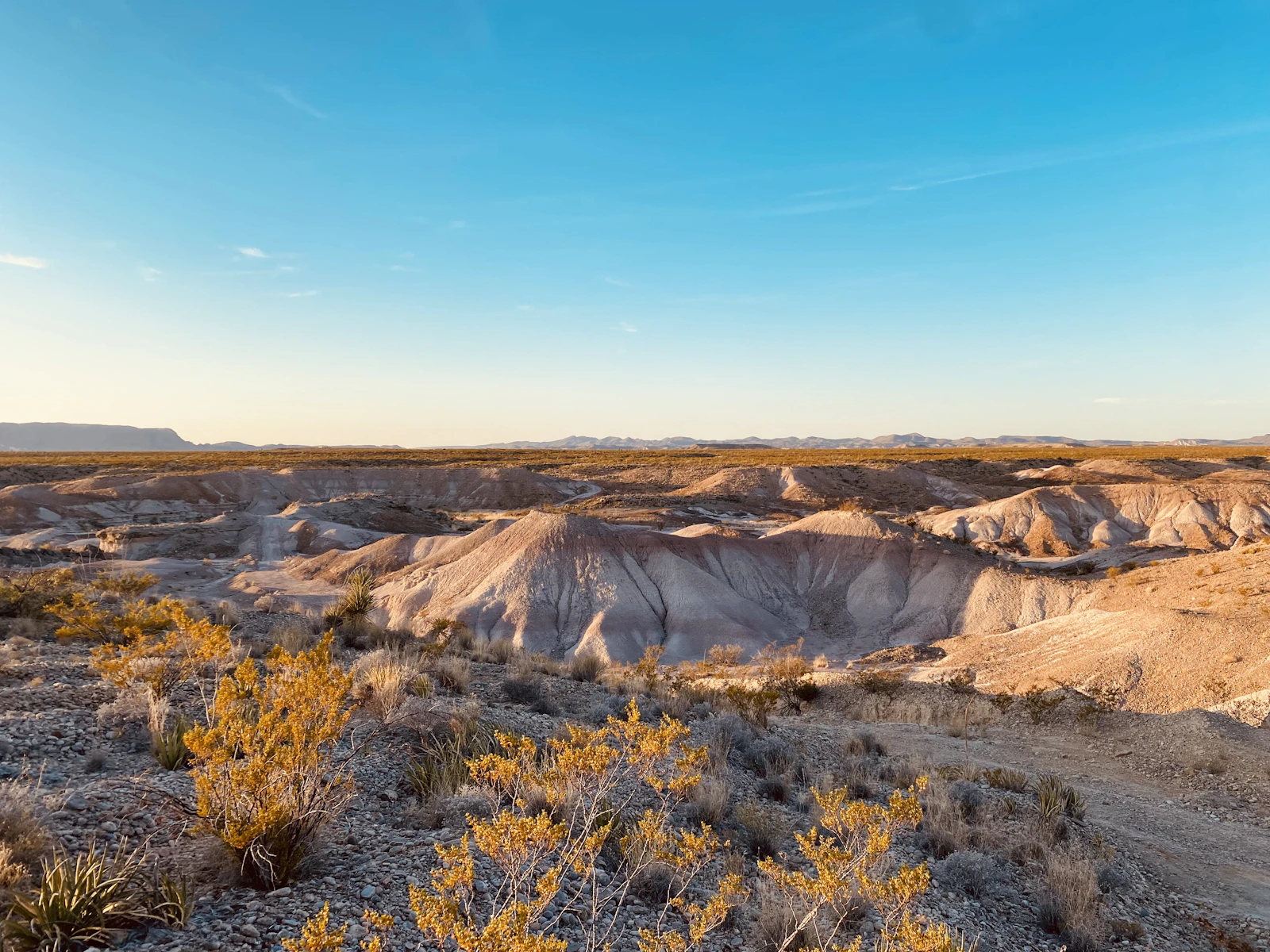 El Paso, Texas photo 3 by Desert Rose