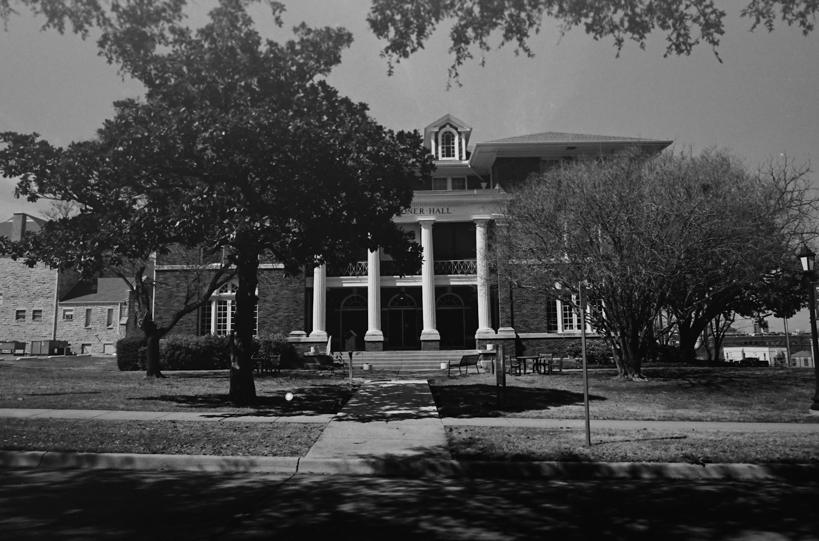 Fort Worth, Texas photo 21 by Laura Rivera