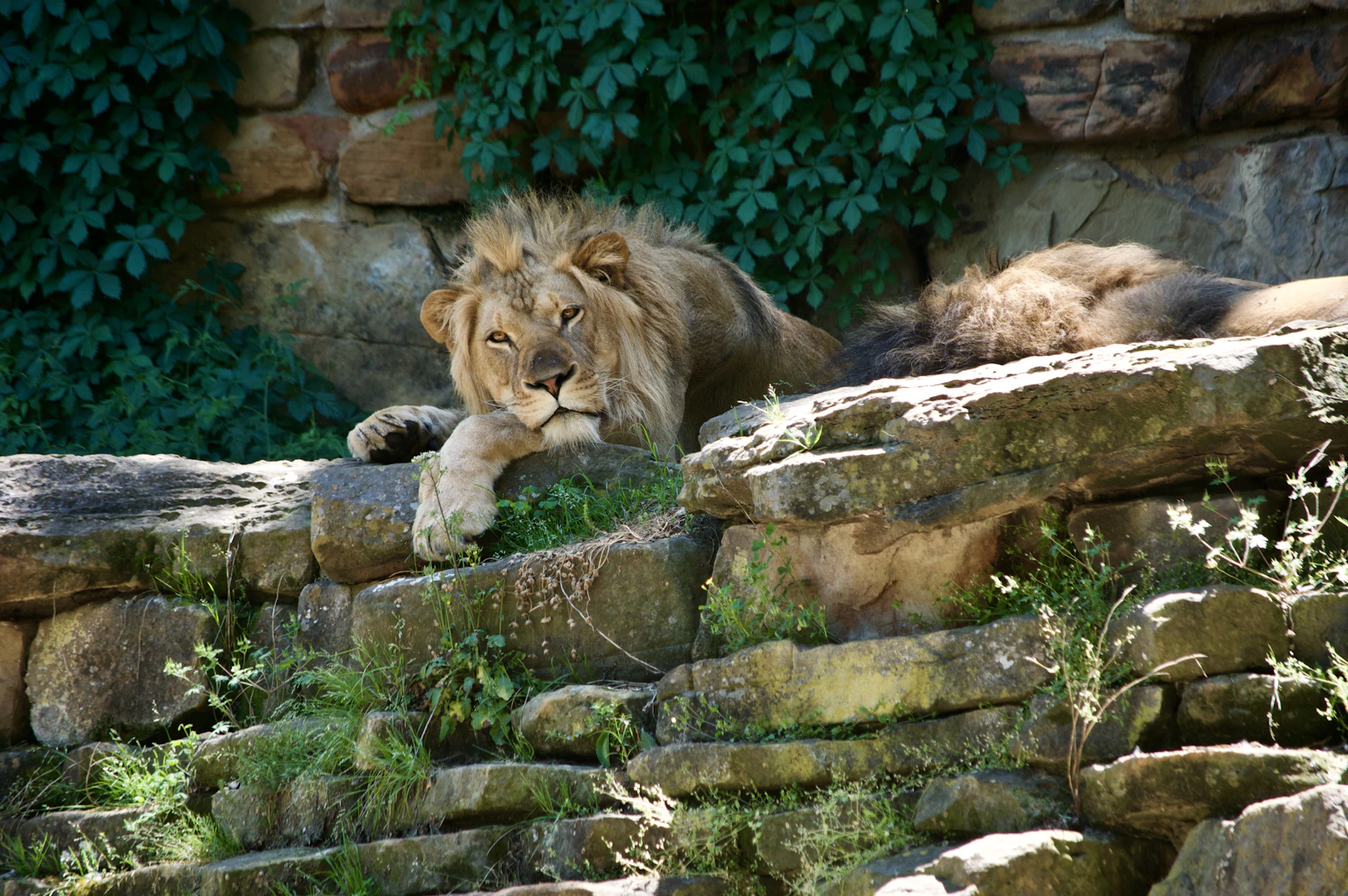 Fort Worth, Texas photo 19 by Dan Dennis
