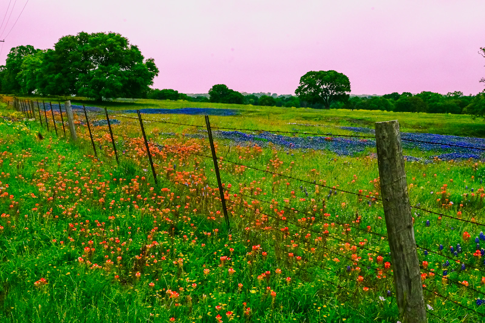 Fredericksburg, Texas photo 5 by Bryan Dickerson