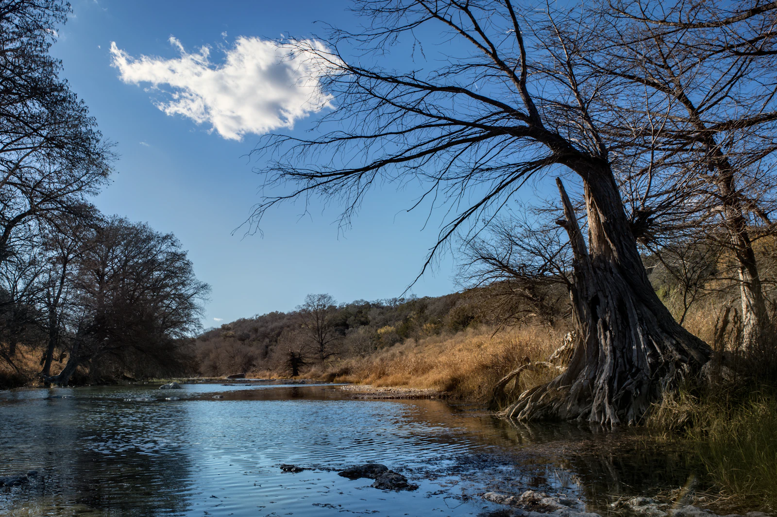Fredericksburg, Texas photo 22 by Trac Vu