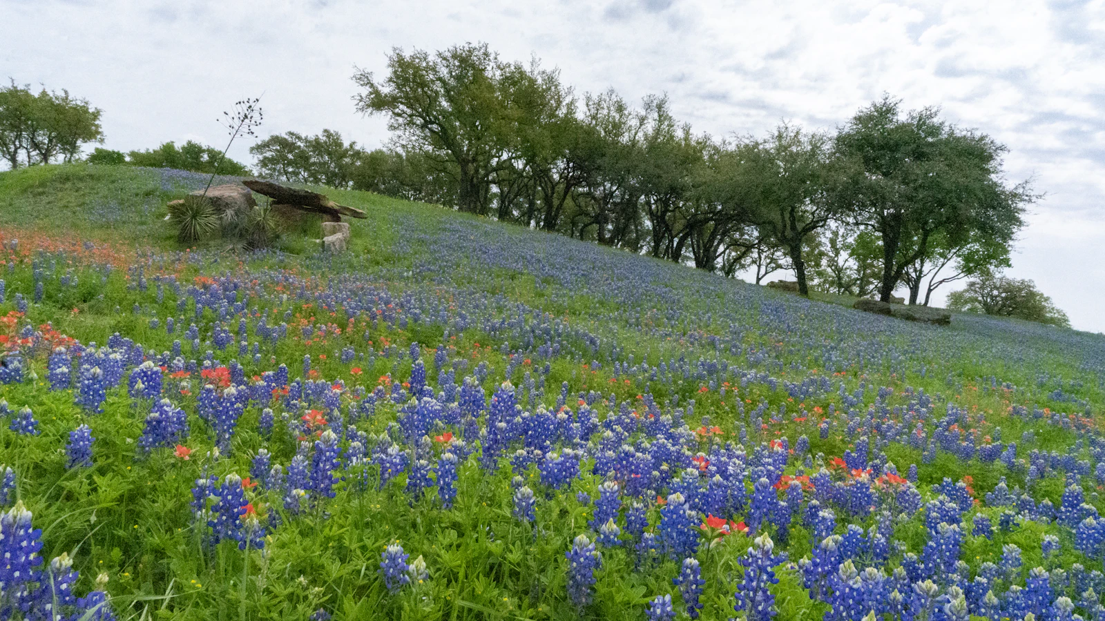 Fredericksburg, Texas photo 9 by Shelly Collins