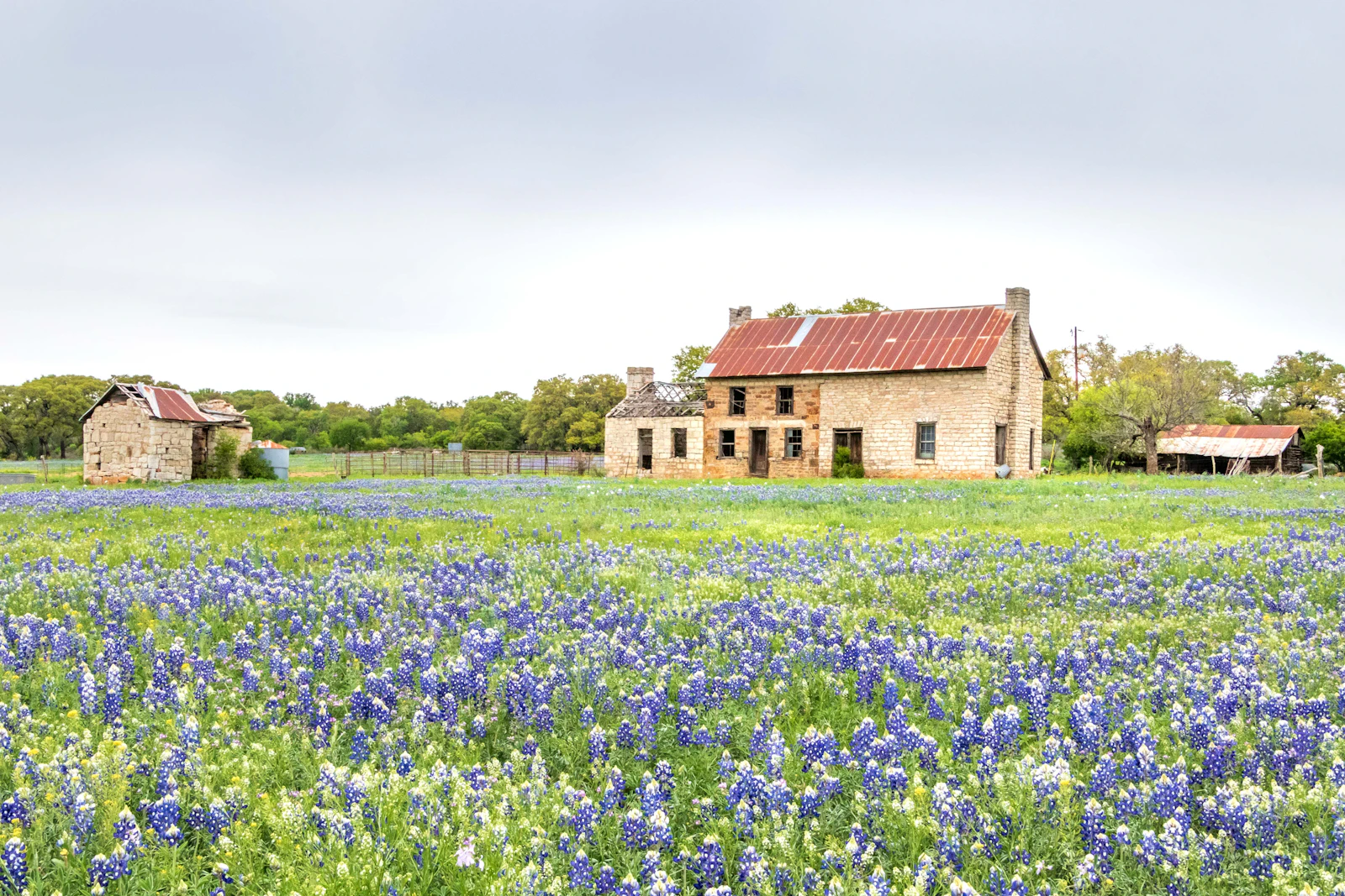 Fredericksburg, Texas photo 18 by Thomas Schimonsky