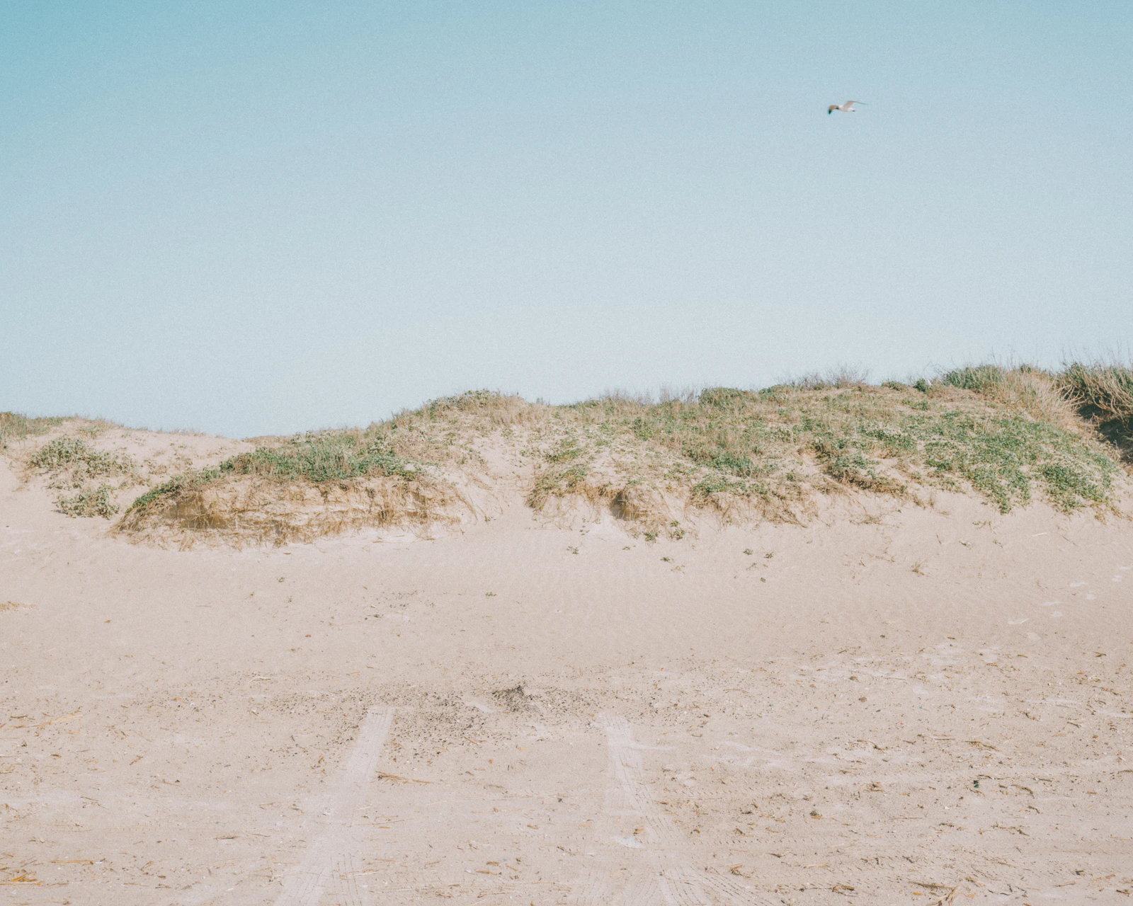 Galveston, Texas photo 29 by Brock Wegner