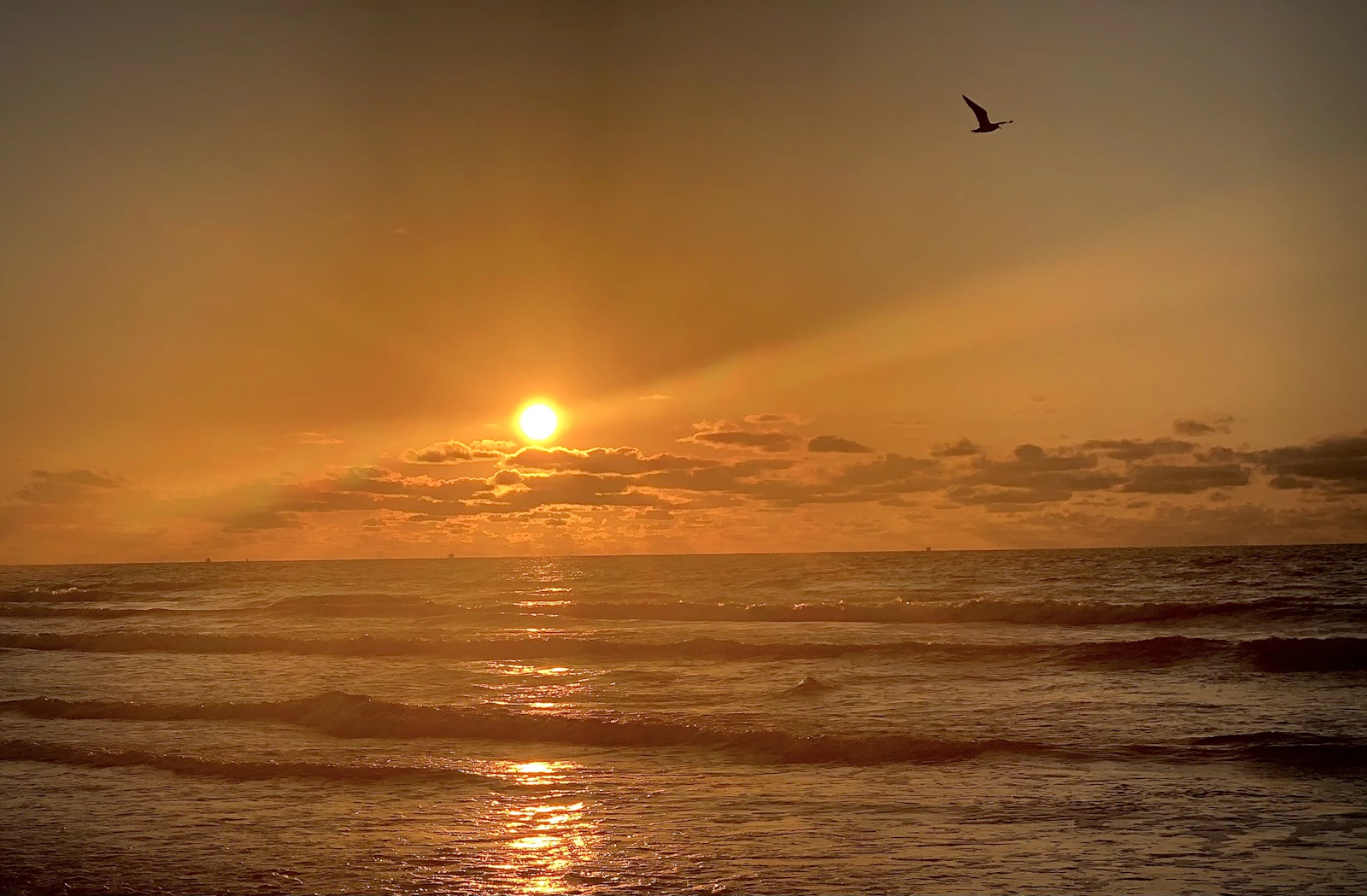 Galveston, Texas photo 11 by Charles Howard