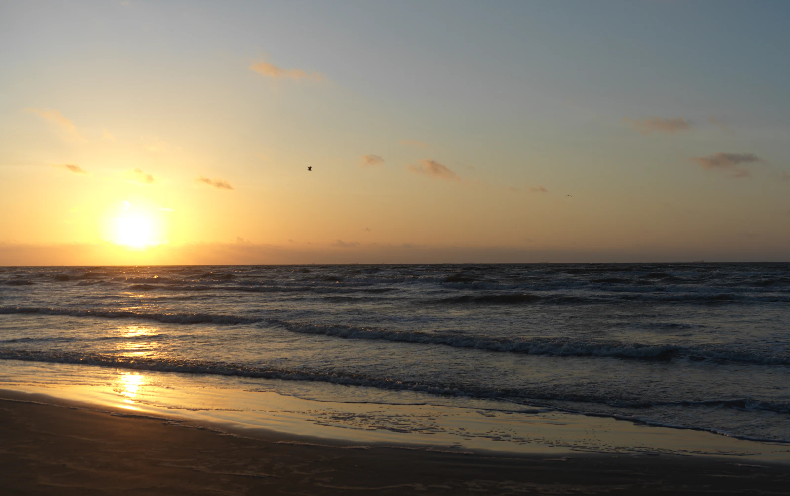 Galveston, Texas photo 19 by Damon Janis