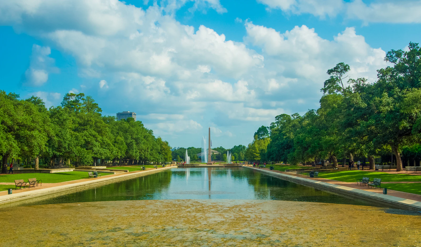 Houston, Texas photo 15 by Alisa Matthews