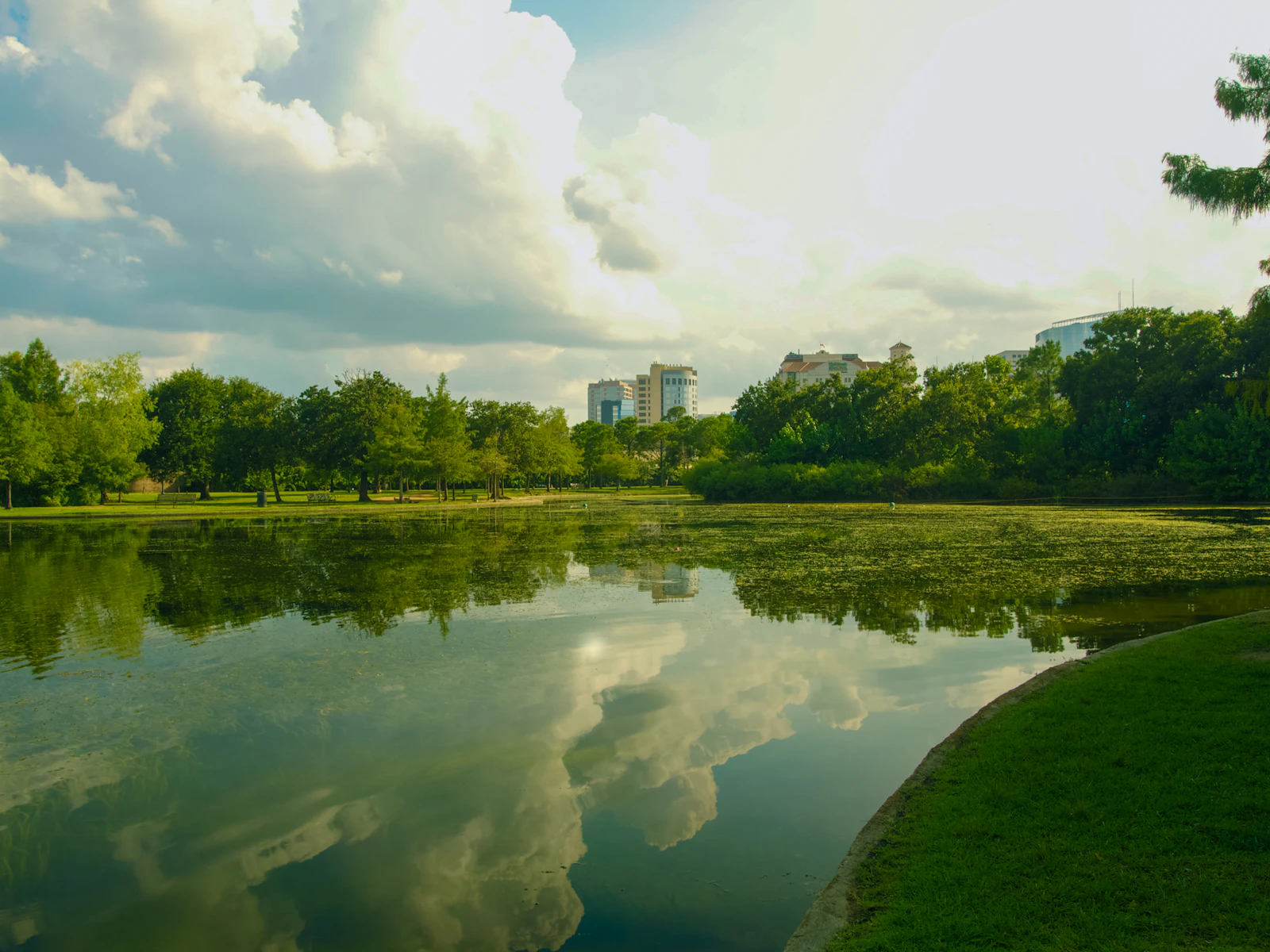 Houston, Texas photo 23 by Alisa Matthews