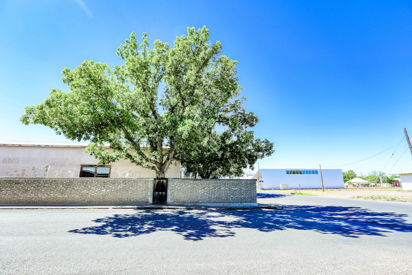 Marfa, Texas photo 29 by Mick Haupt