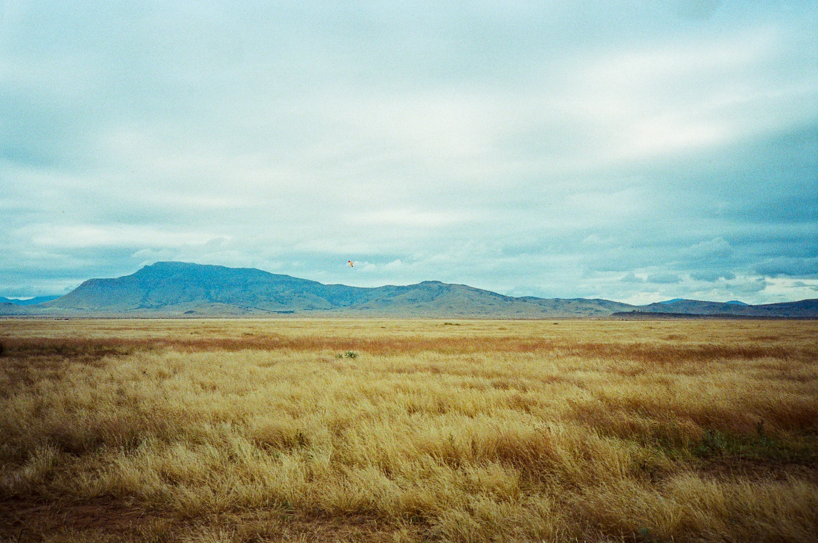 Marfa, Texas photo 6 by Charlie Fair