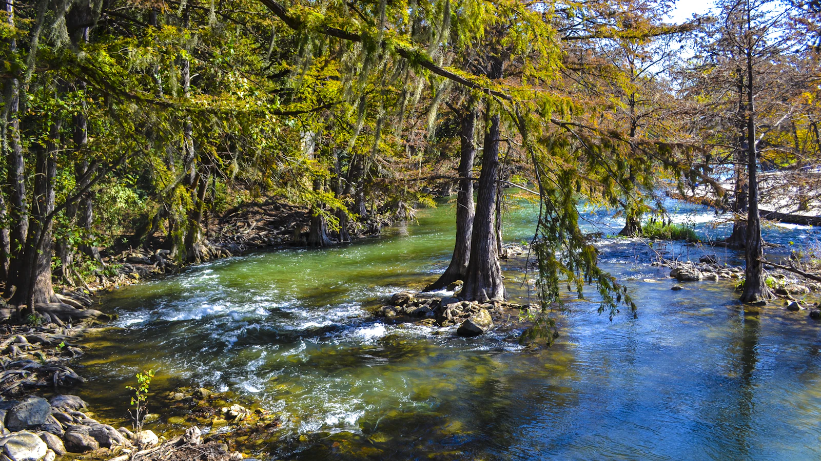 New Braunfels, Texas photo 2 by Terrance Agar