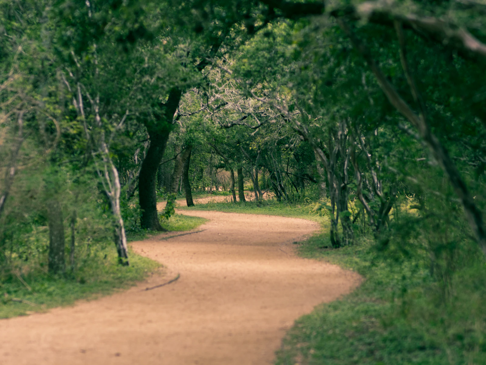 San Antonio, Texas photo 23 by Nick Rogers