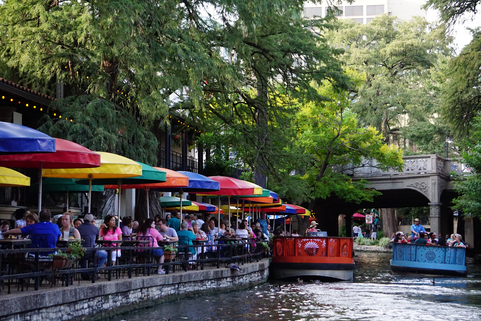San Antonio, Texas photo 5 by Shelly Collins