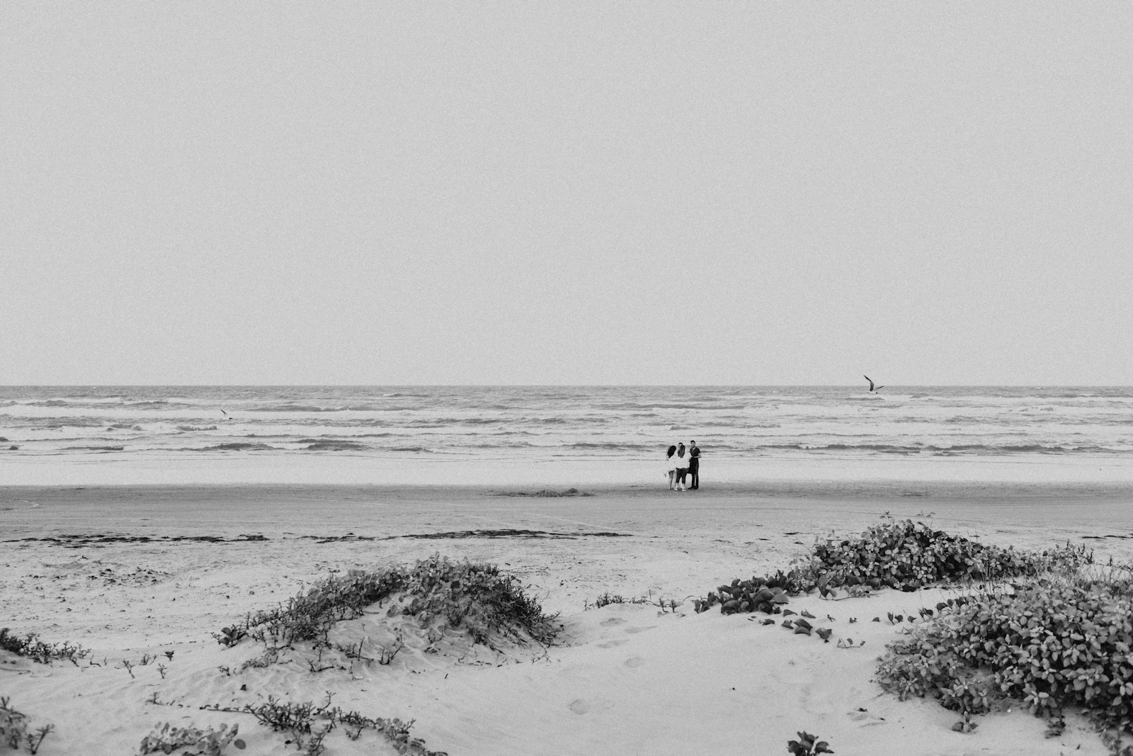 South Padre Island, Texas photo 27 by Obed Esquivel-Pickett